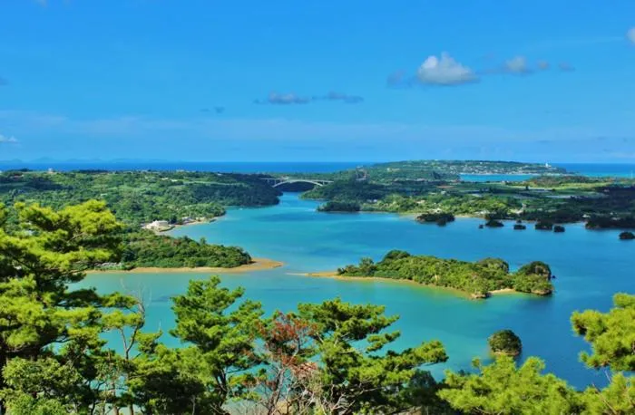 Natural landscape in E-horizon Resort コンドミニアム名護D