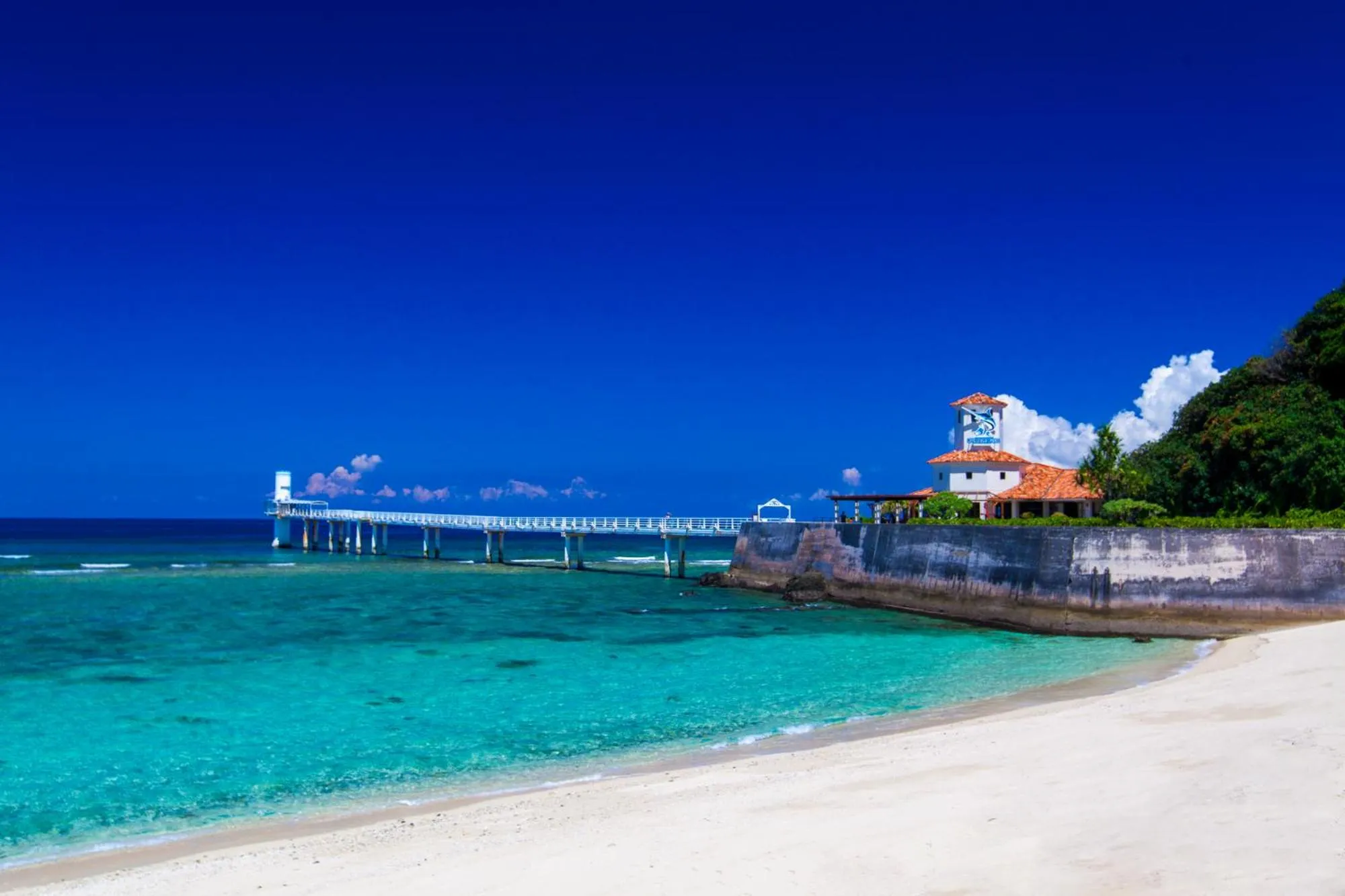 Nearby landmark in E-horizon Resort コンドミニアム名護D