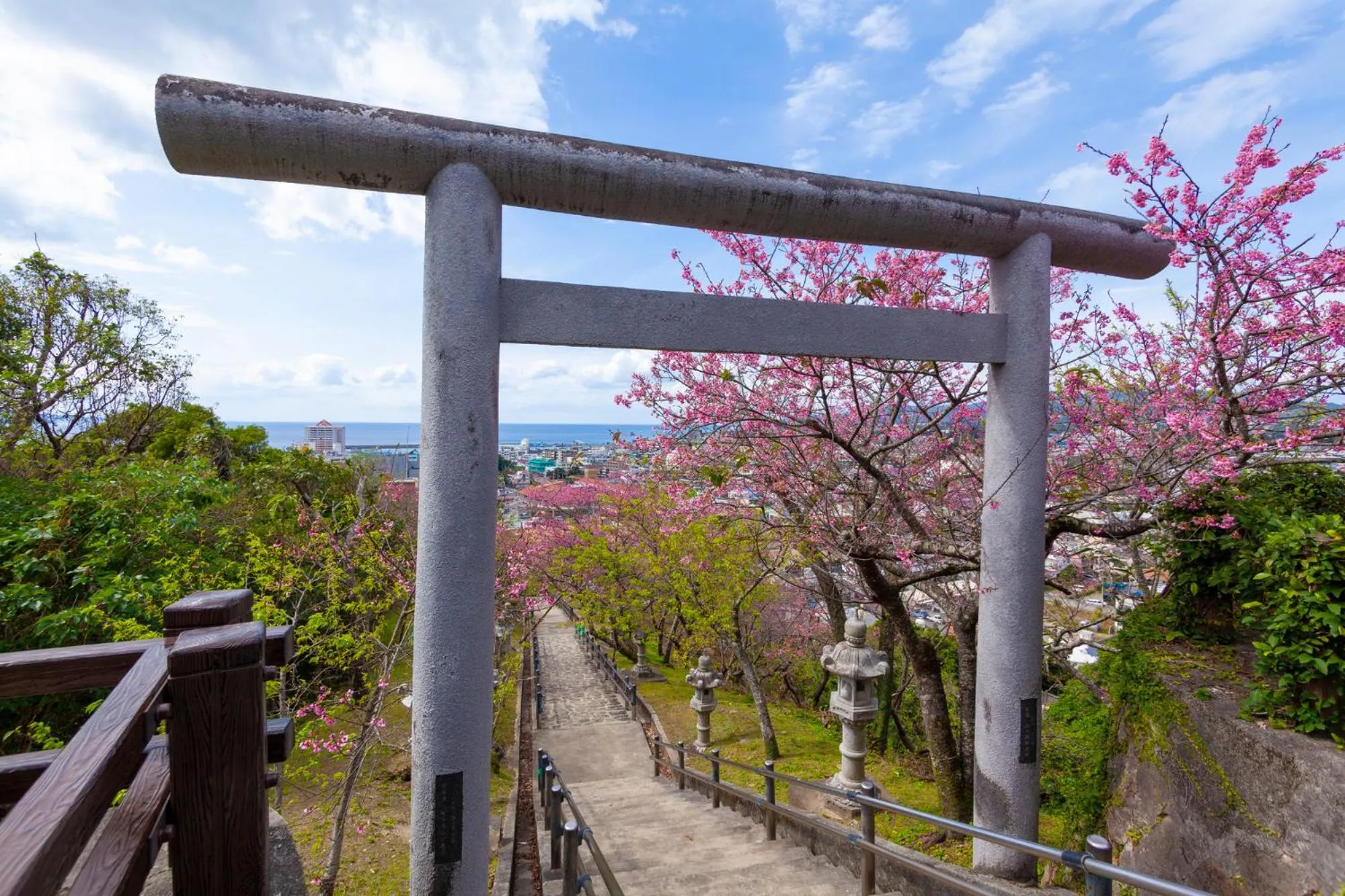 Nearby landmark in E-horizon Resort コンドミニアム名護D