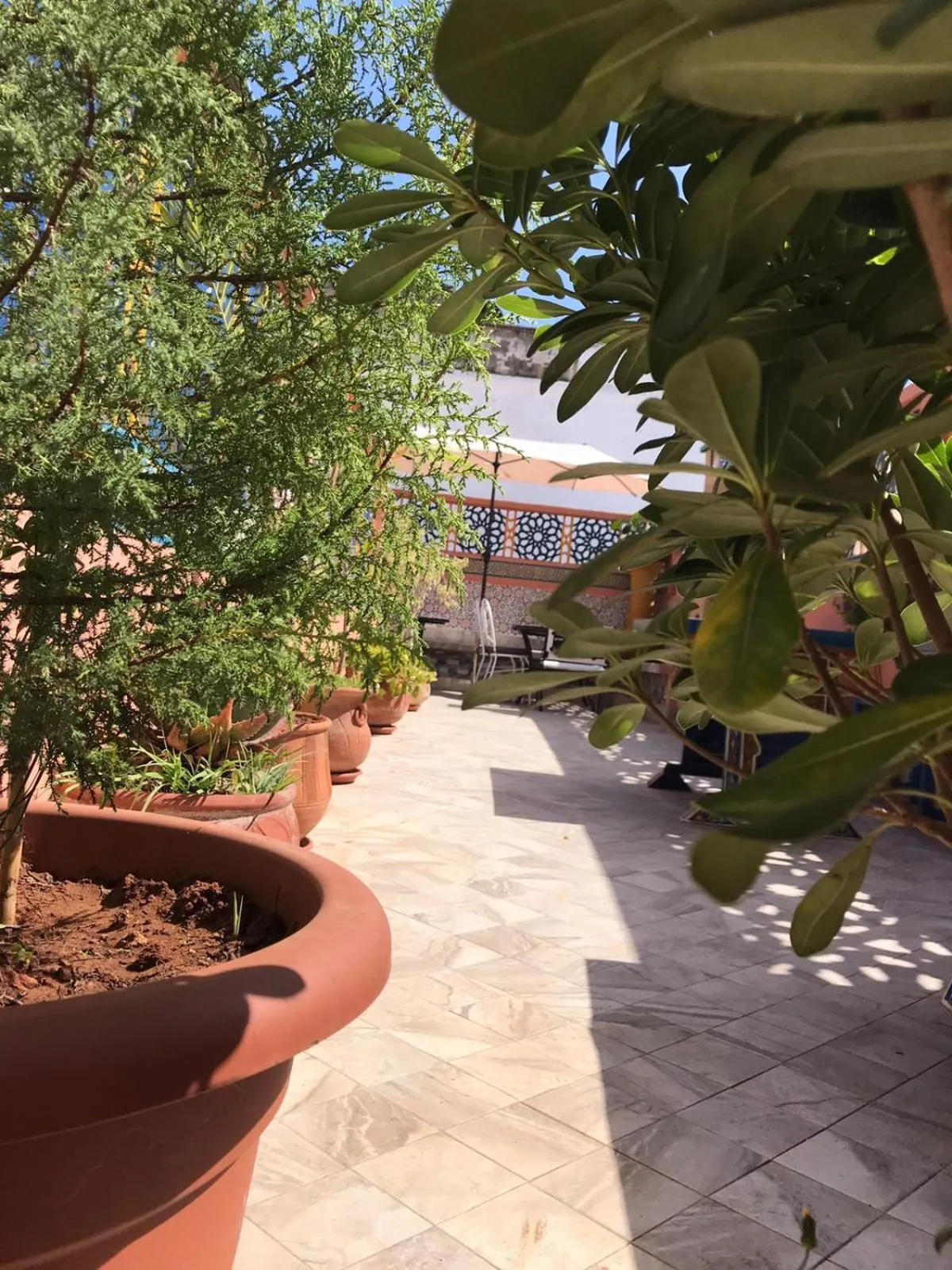 Balcony/Terrace in RIAD ESMERALDA By Dar Ouezzani