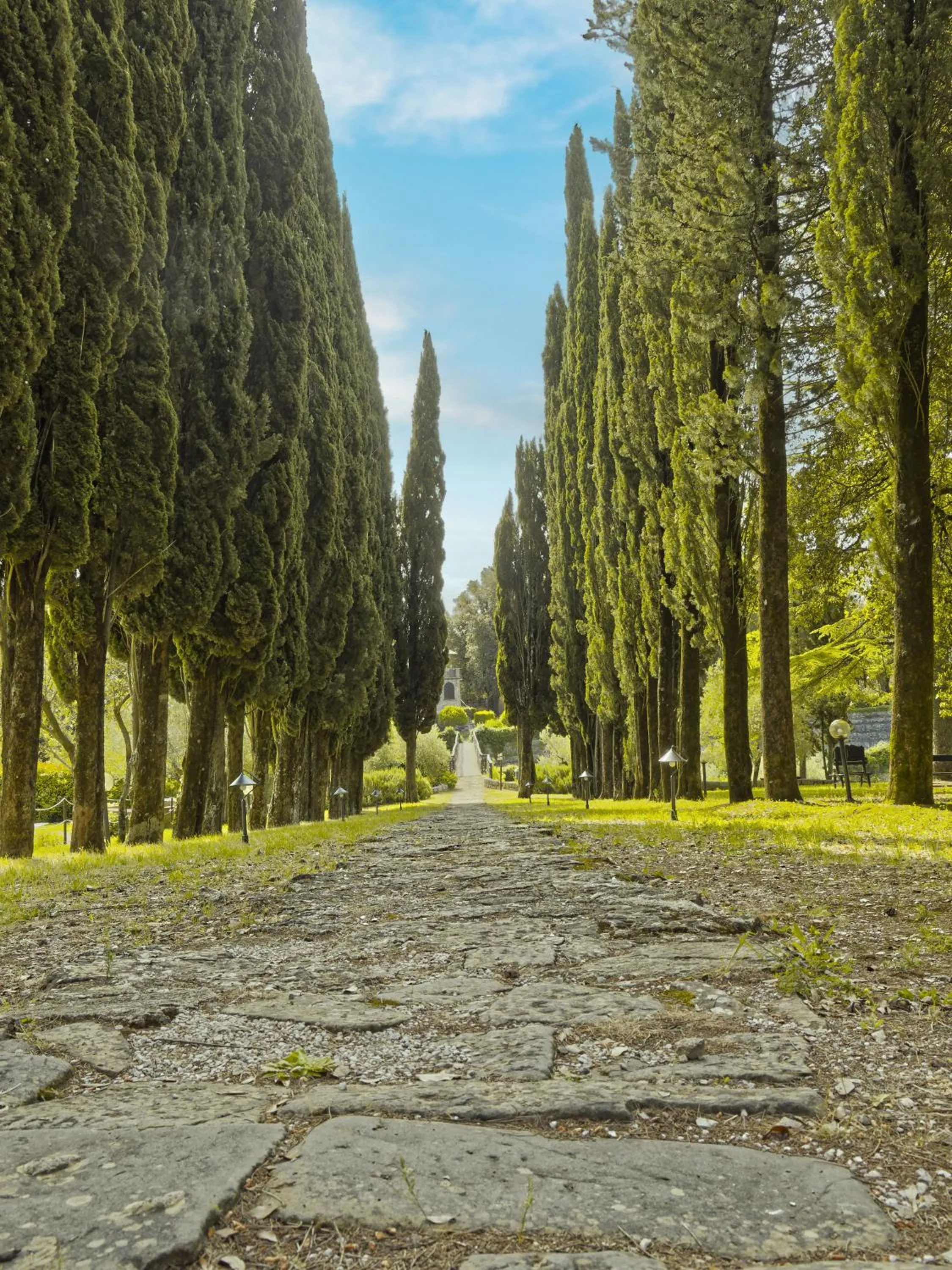 Natural landscape in Palazzo Vittoria