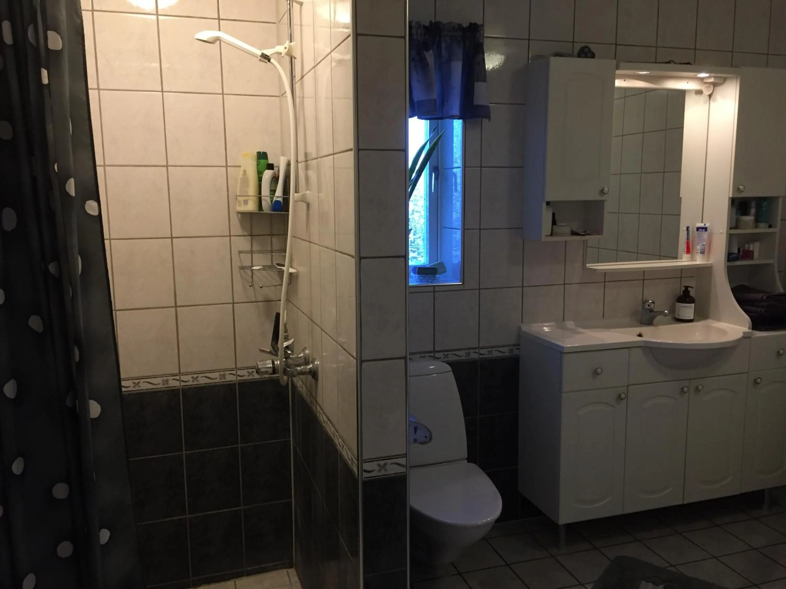 Toilet in Stenbrottets smedja