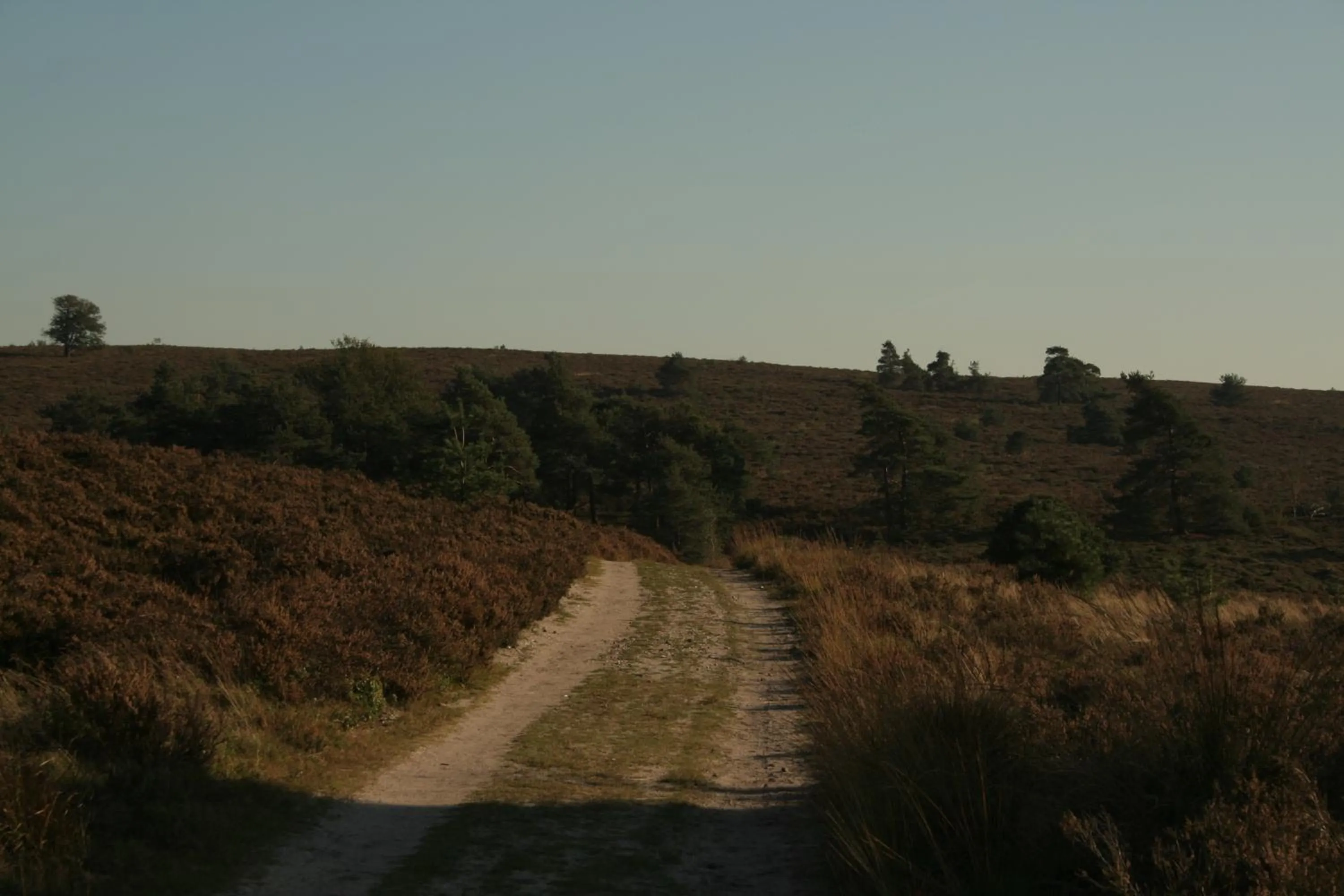 Natural landscape in Het Spijkerhuys