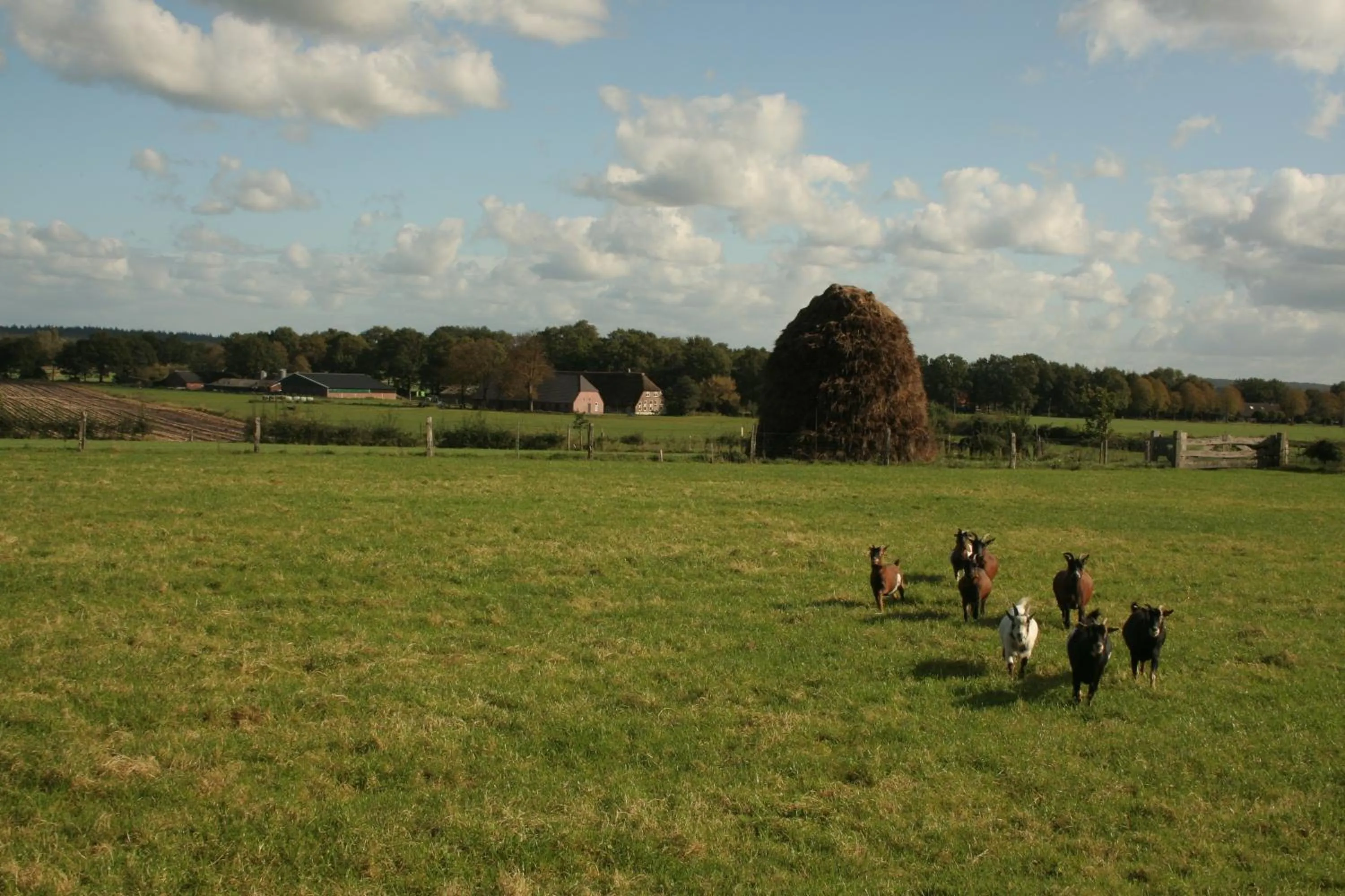 Natural landscape in Het Spijkerhuys