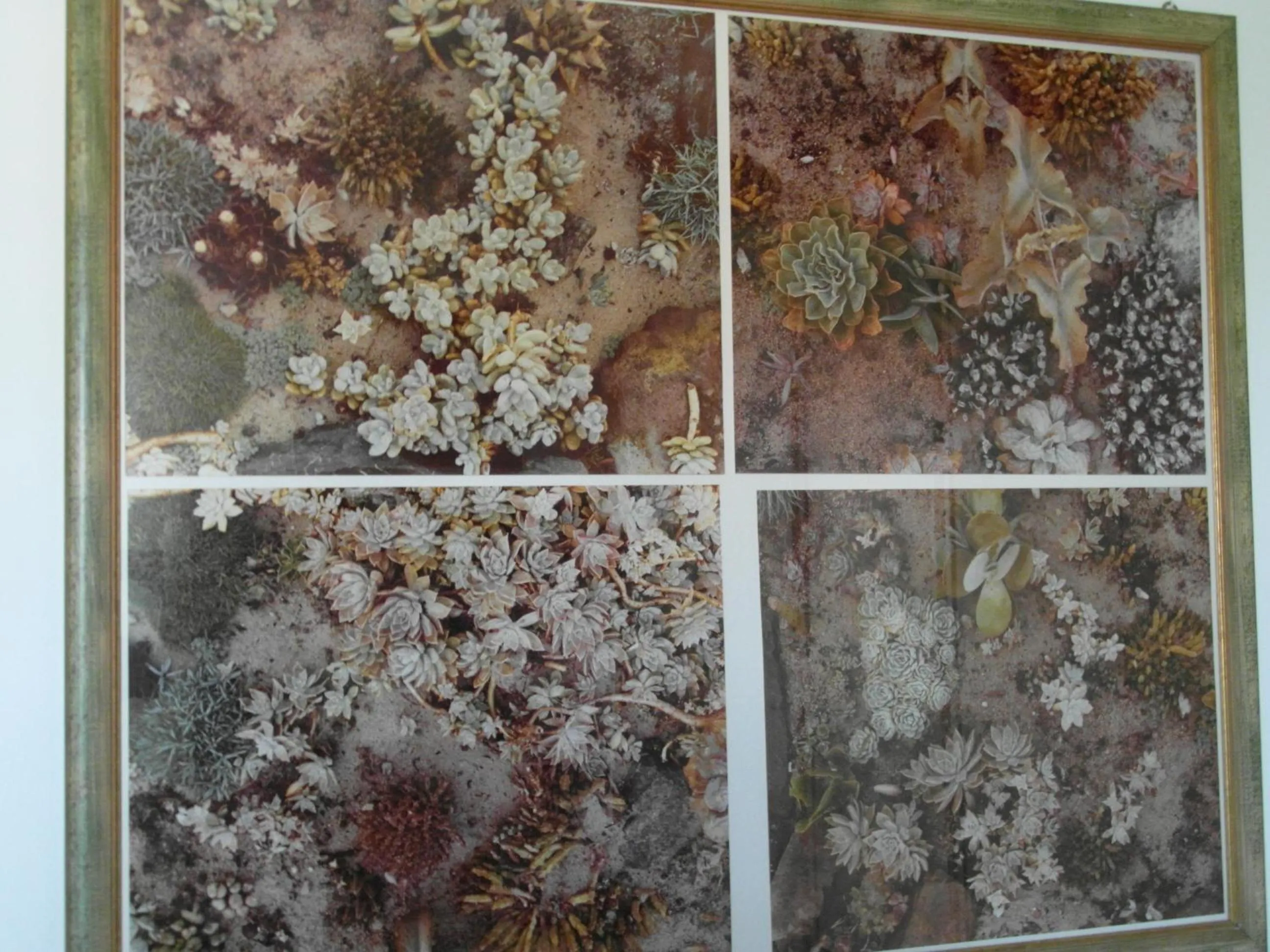 Decorative detail in Abitazione Pigneto B&B