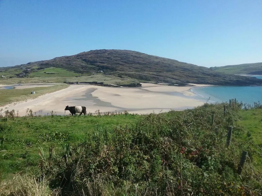 The Thatched Cottage B&B