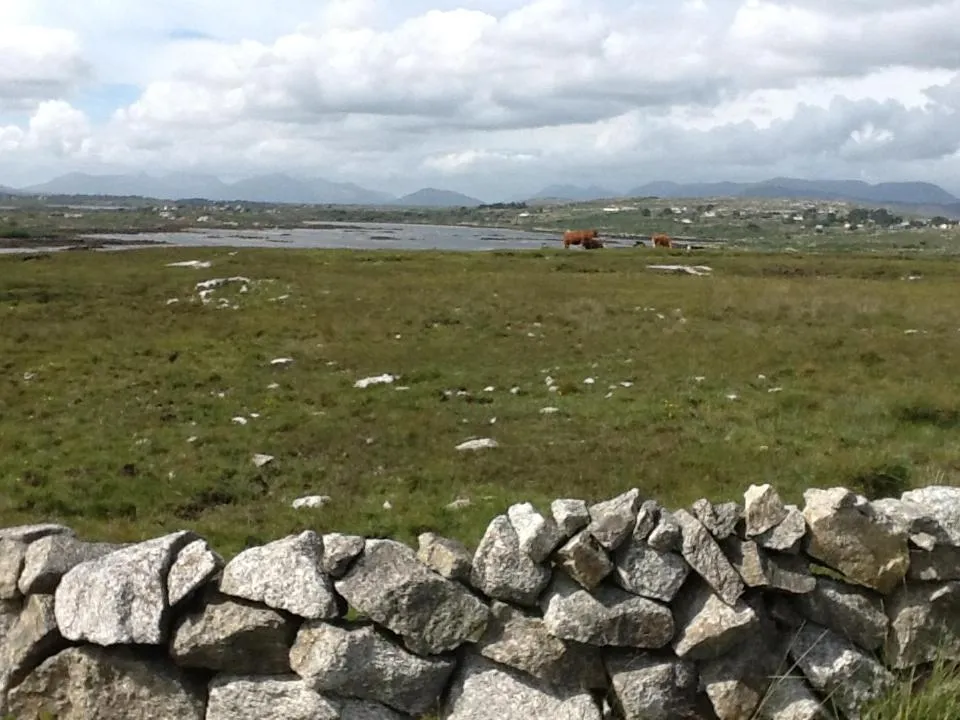 Natural landscape in The Thatched Cottage B&B