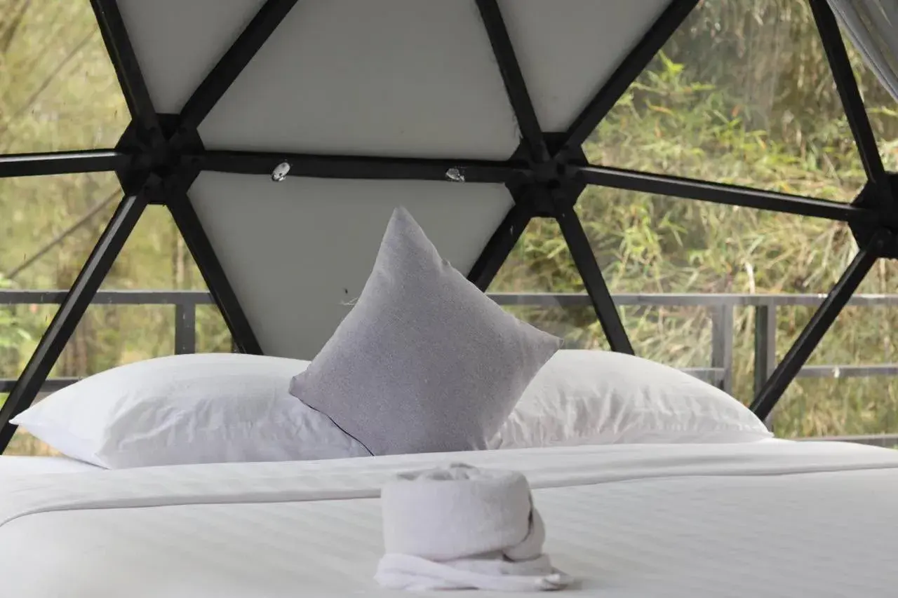 Deluxe Room in Adventure Dome Resort Deluxe Room in Adventure Dome Resort