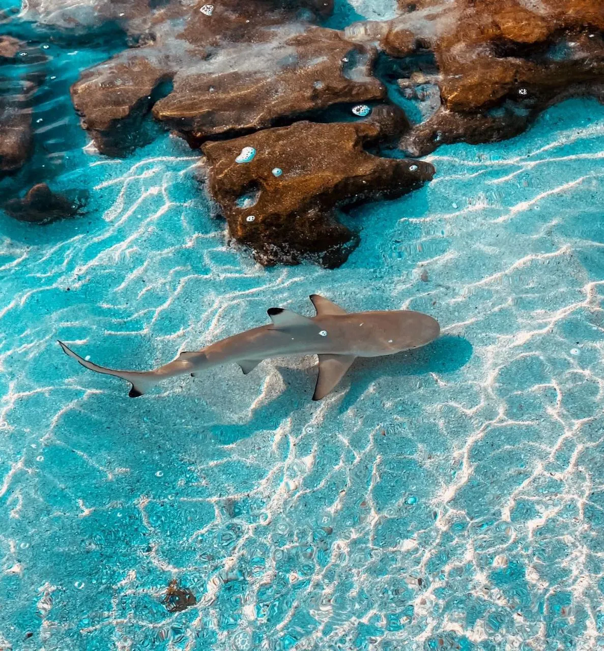 Sea view in Crown Beach Villas -Private Beach