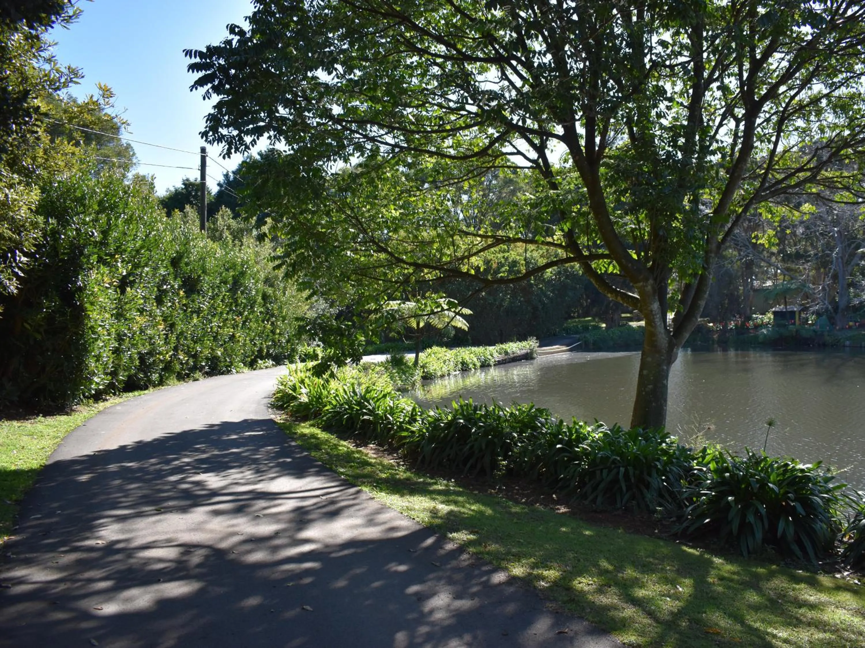 Natural landscape in Maleny Homestead & Cottage