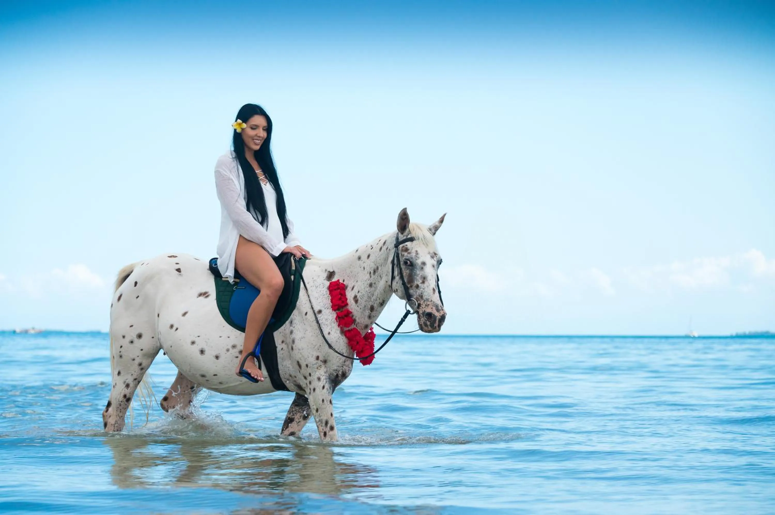 Horse-riding in Sea Cliff Resort & Spa