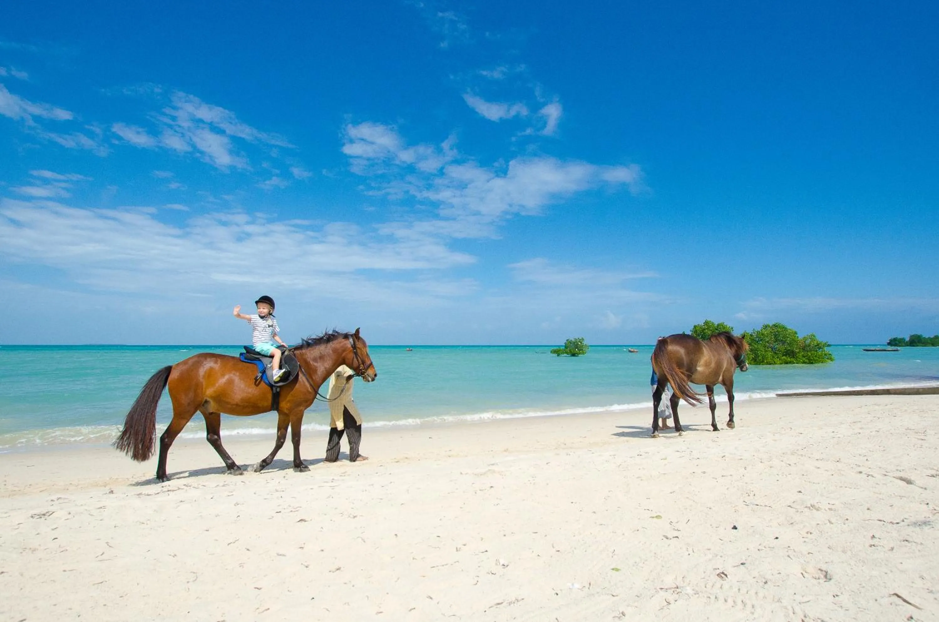 Horse-riding in Sea Cliff Resort & Spa