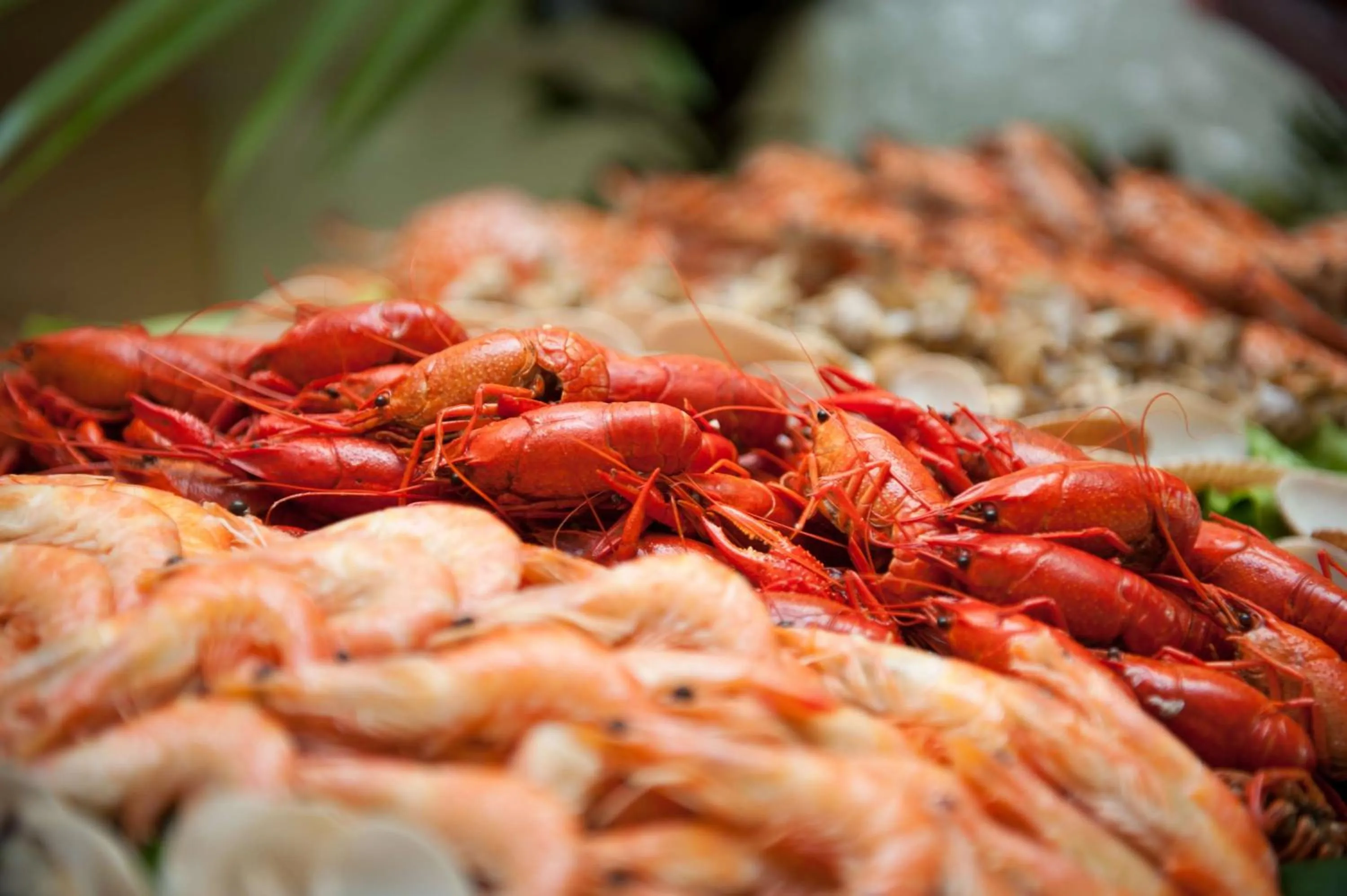 Dinner in Guangzhou Phoenix City Hotel-Free Shuttle for Canton Fair 15th Oct to 5th Nov