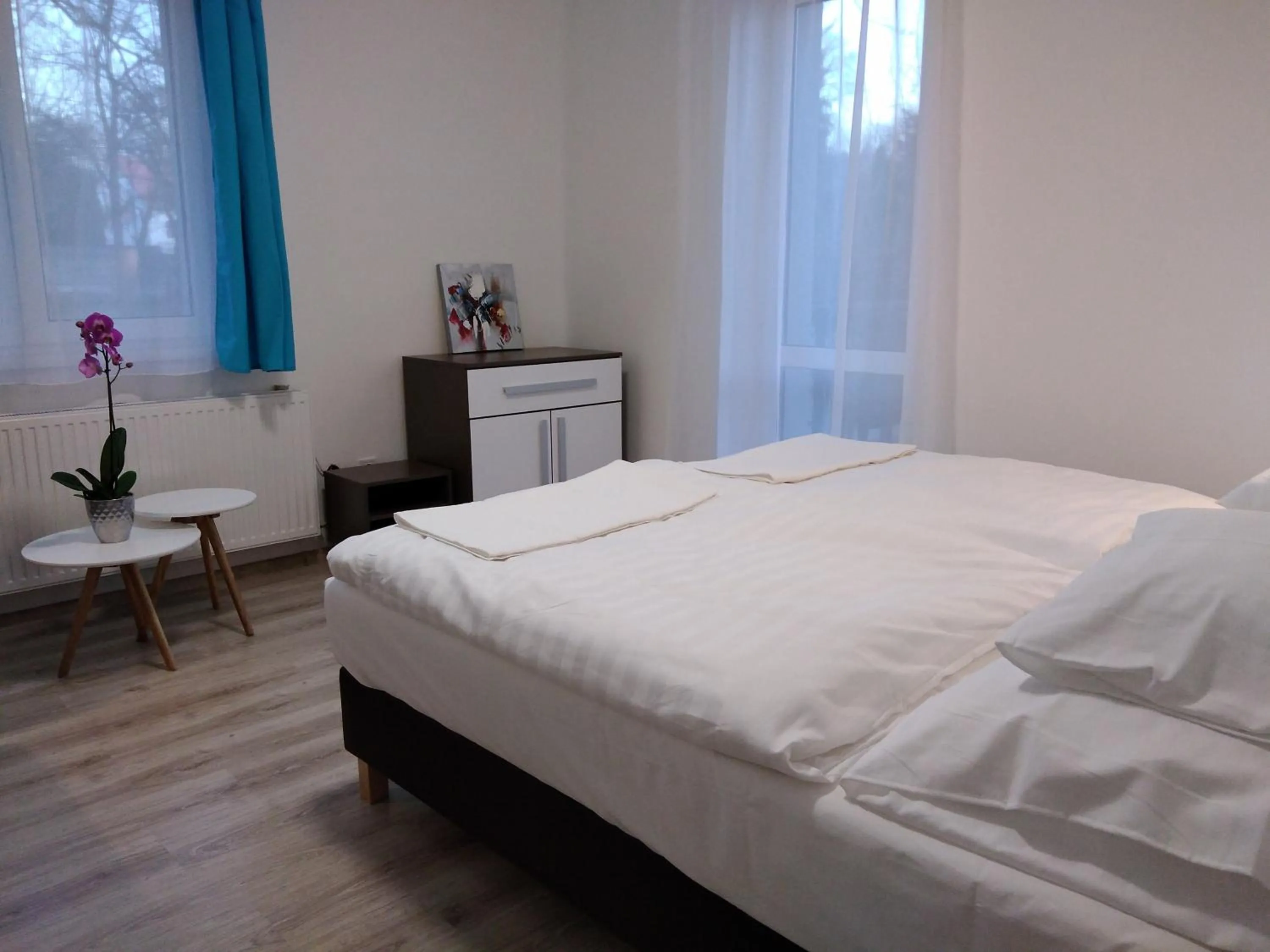 Double Room - Disability Access in Diana Panzió