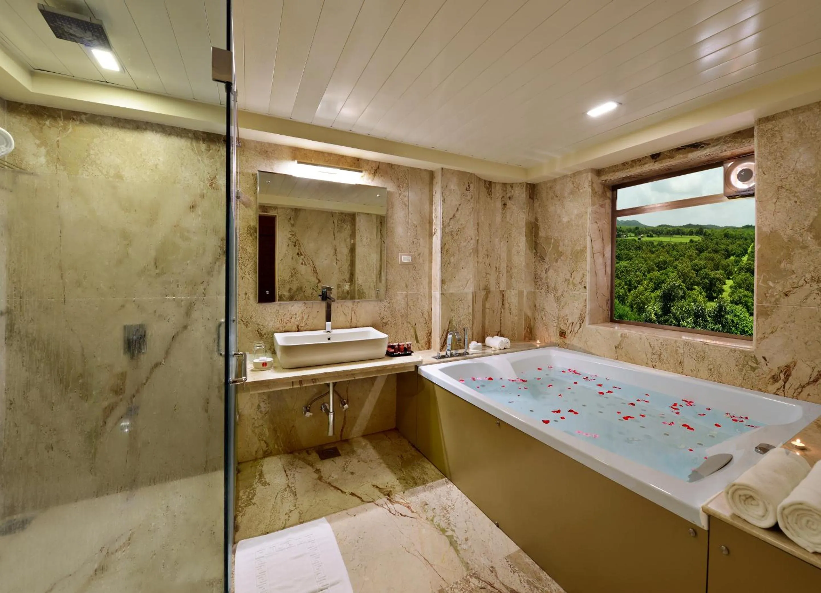 Bathroom in Sarovar Portico Sasangir