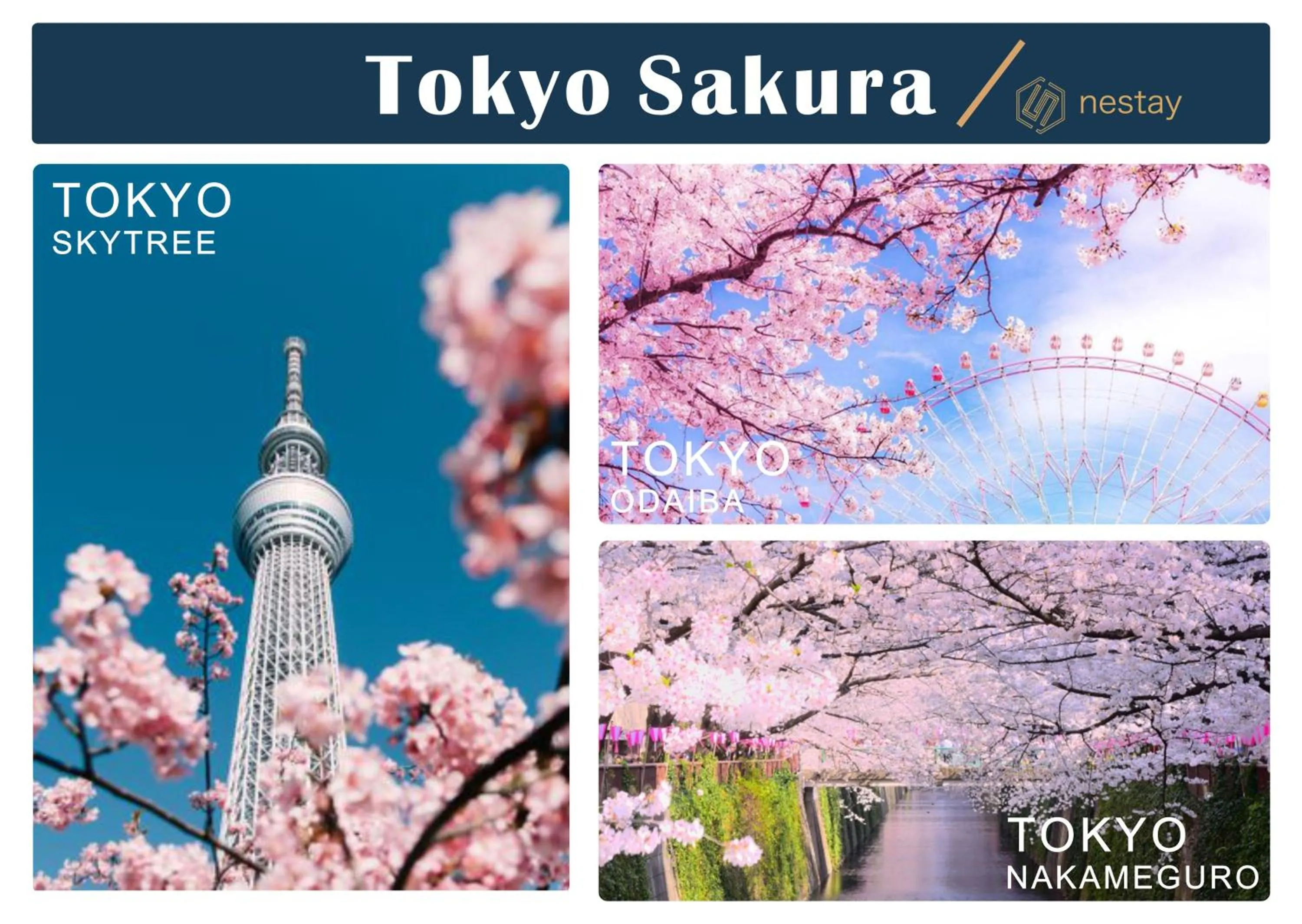 nestay villa tokyo shinjuku