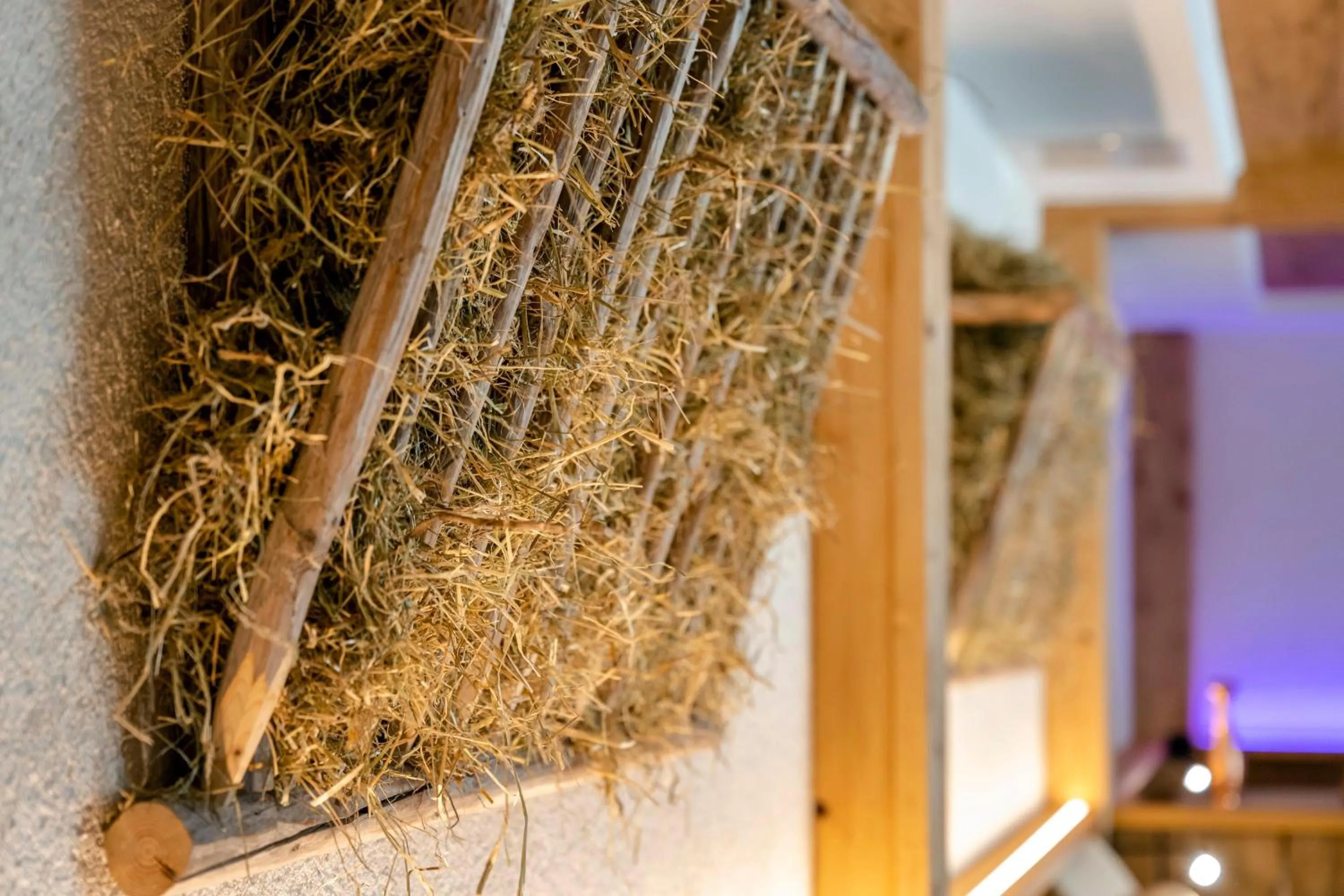 Spa and wellness centre/facilities in Best Western Plus Hotel Erb