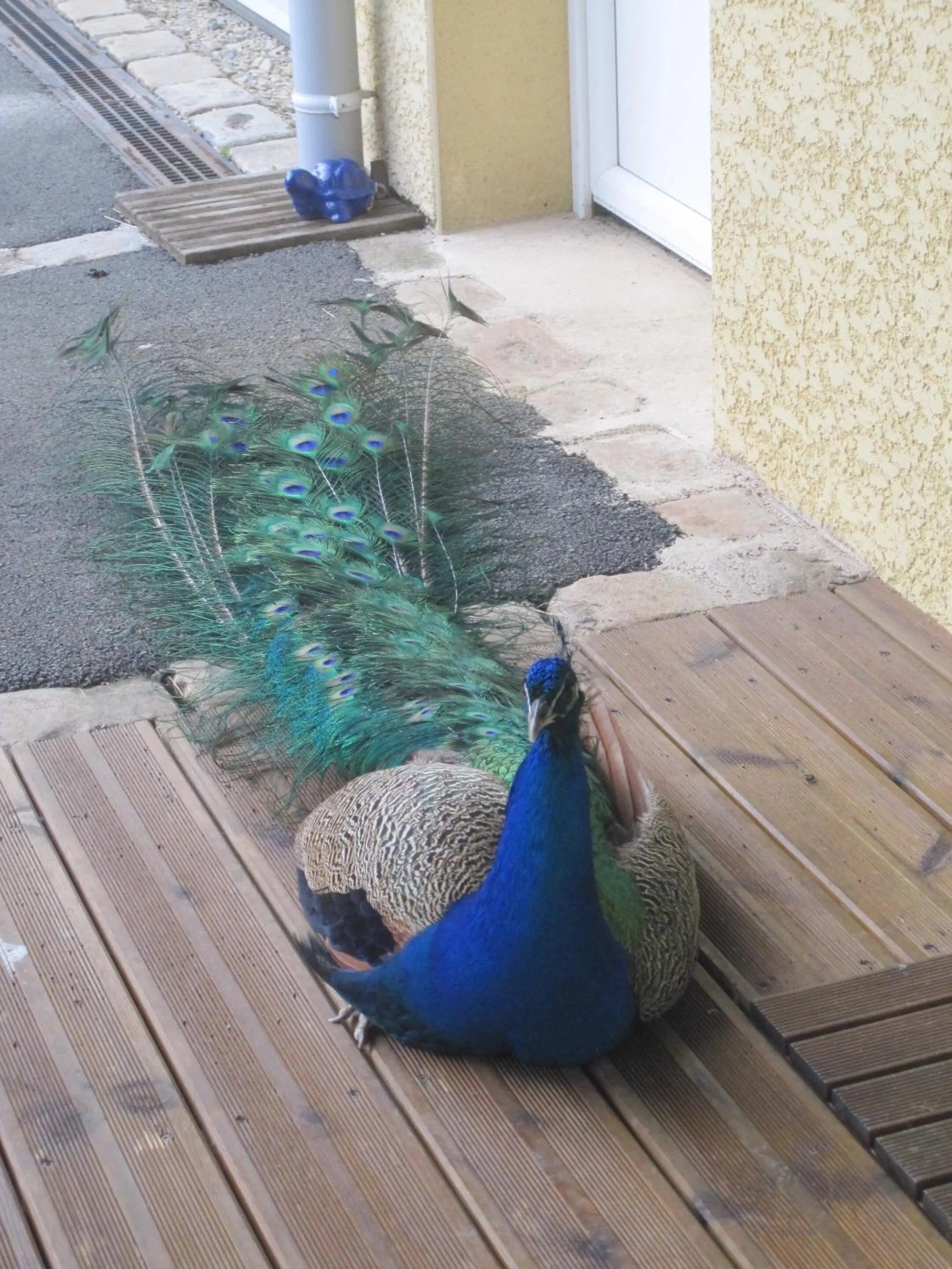 Property building in Au Domaine du Cerf