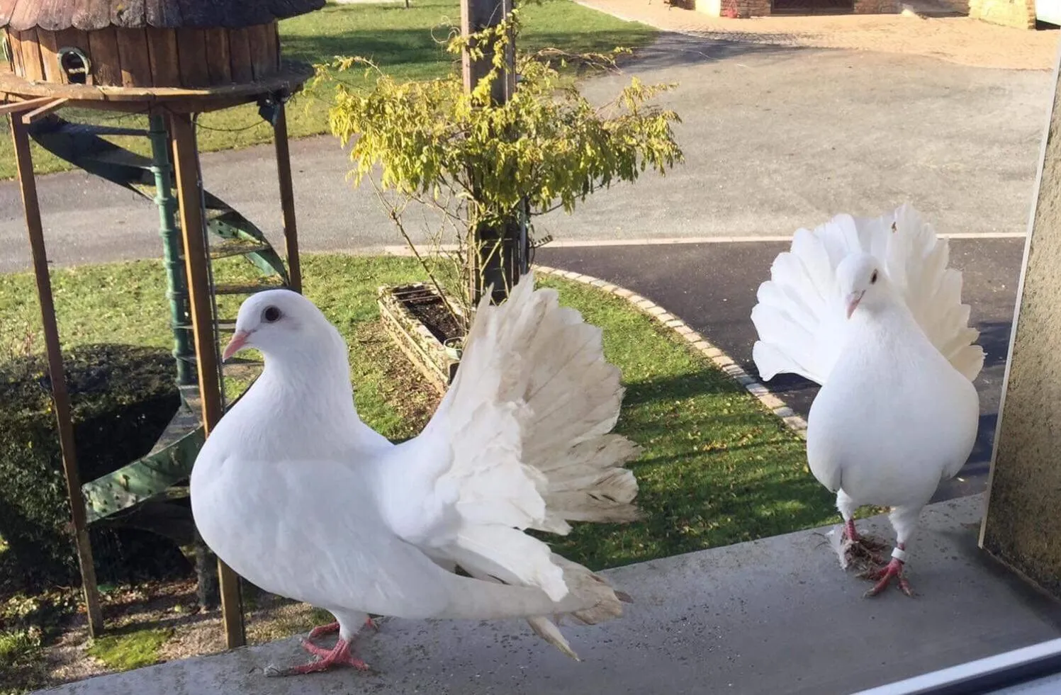 Property building in Au Domaine du Cerf