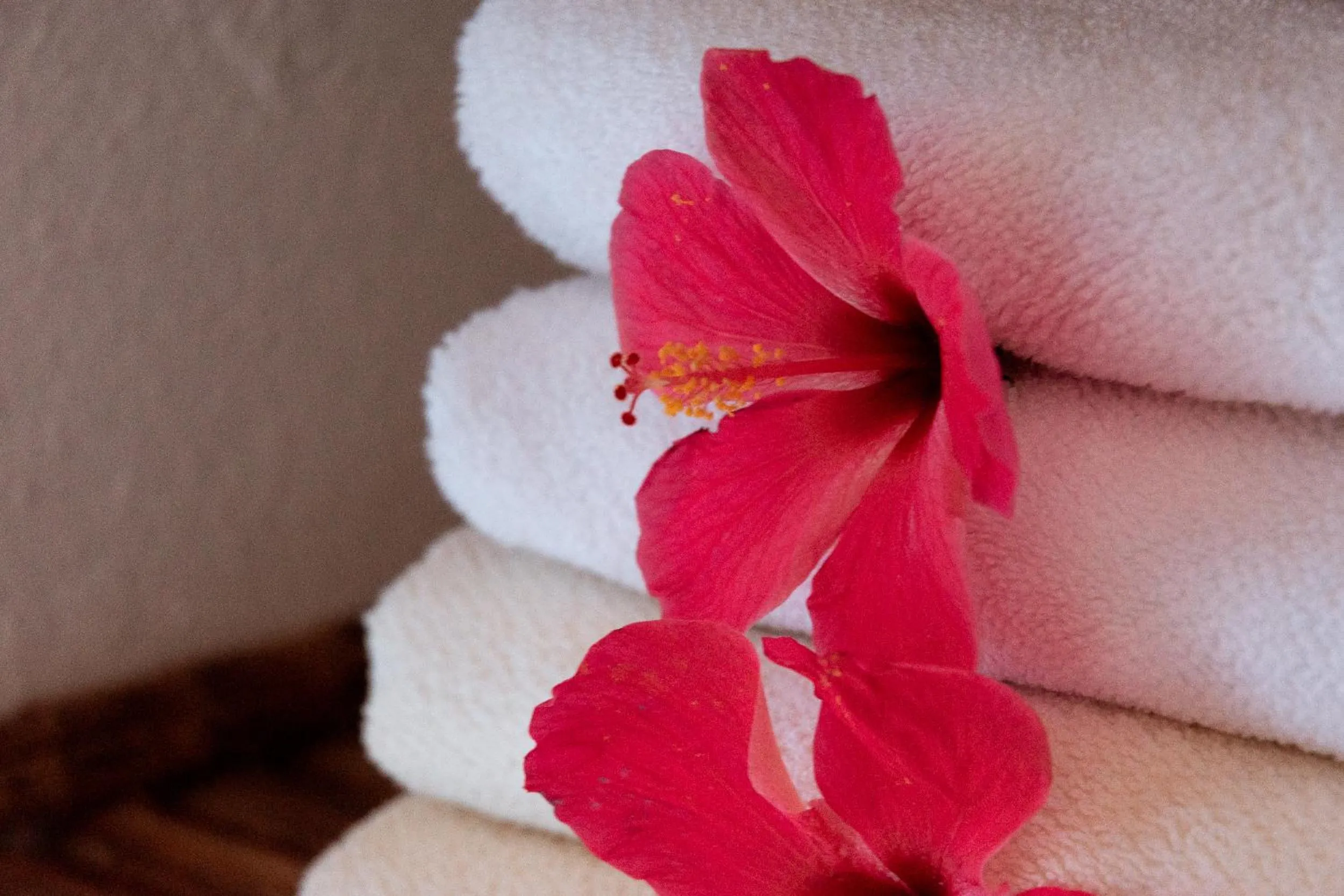 Bedroom in Hotel Casalina