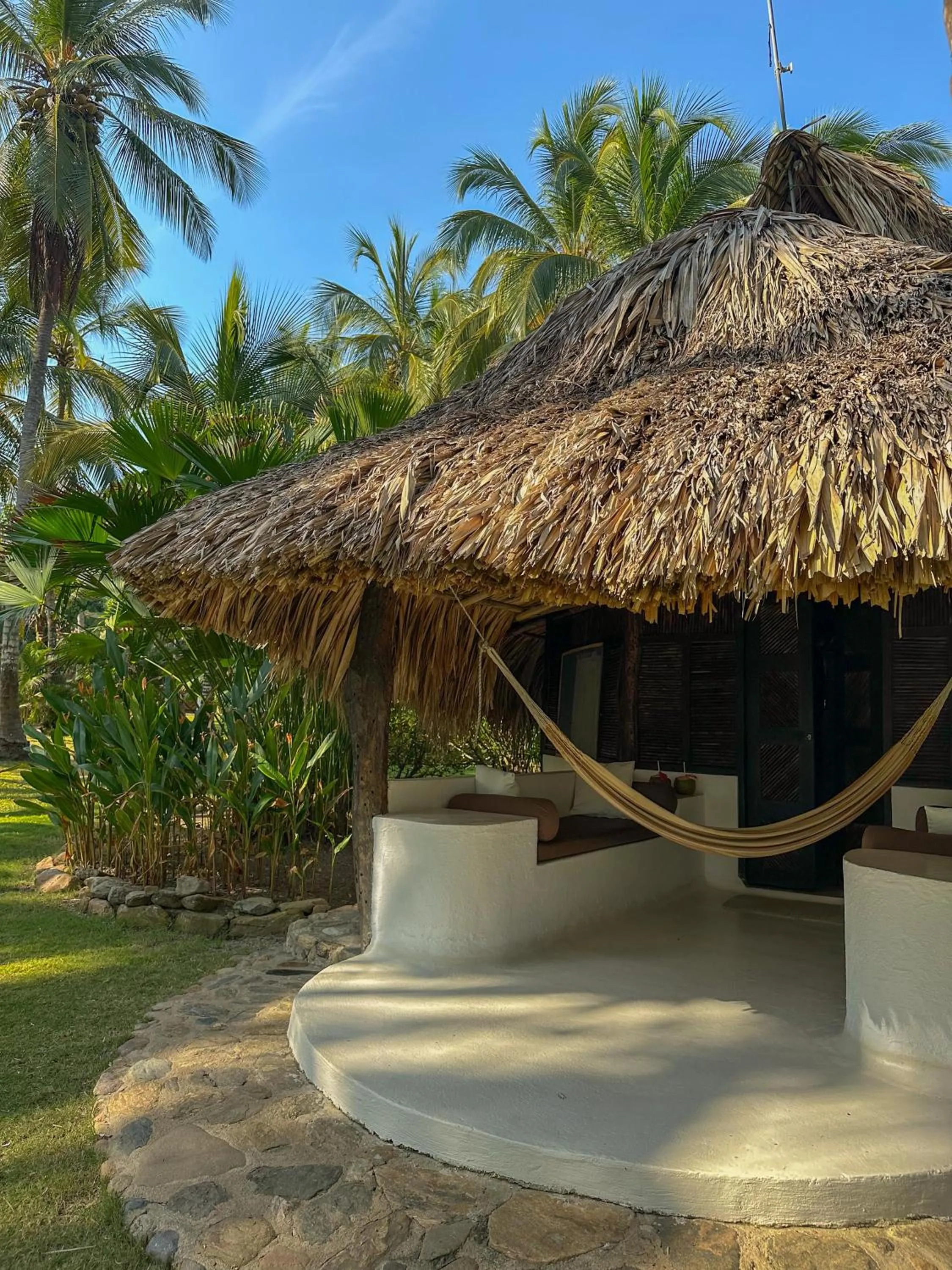 Garden in Hotel Casalina