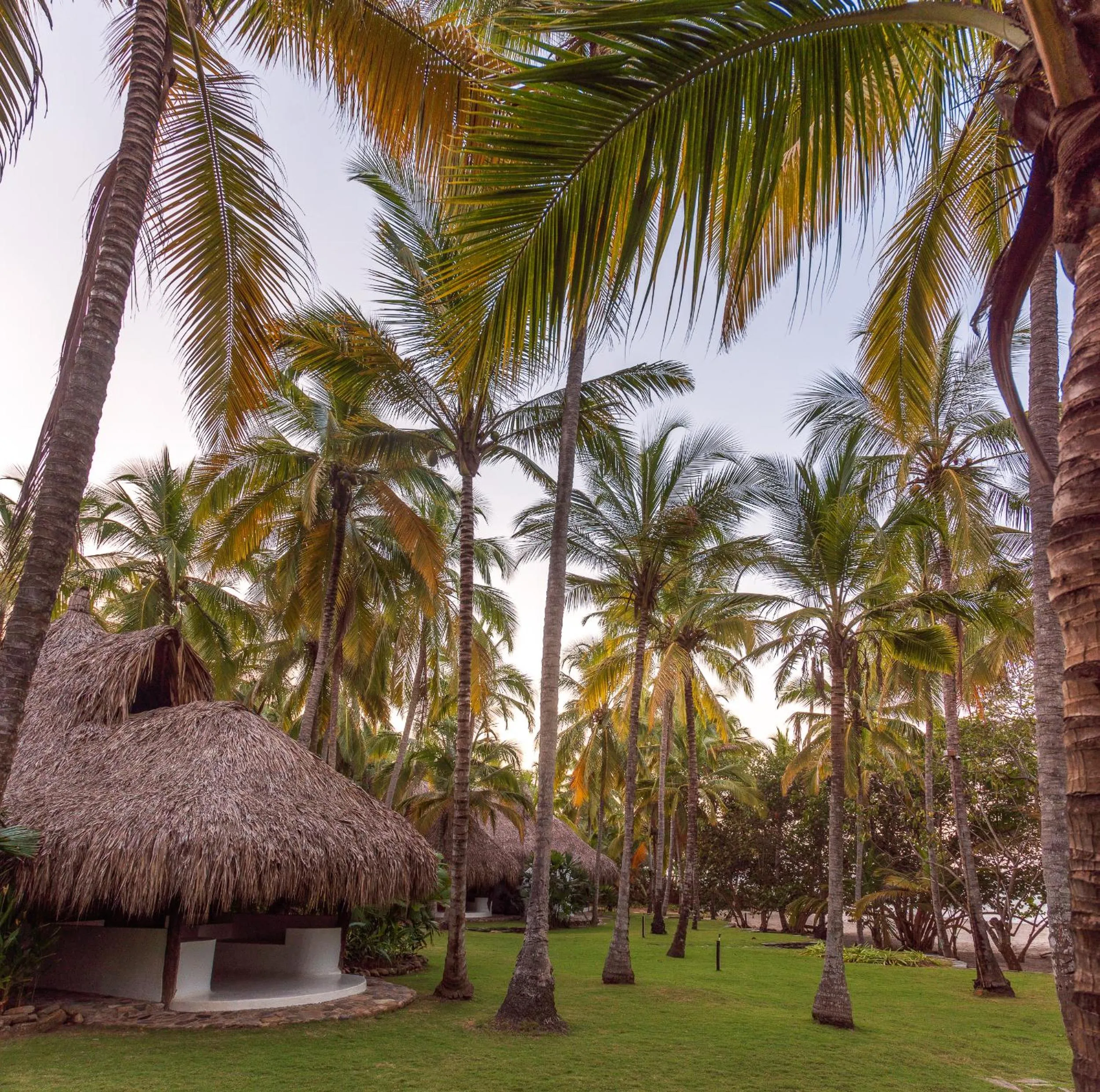 Natural landscape in Hotel Casalina