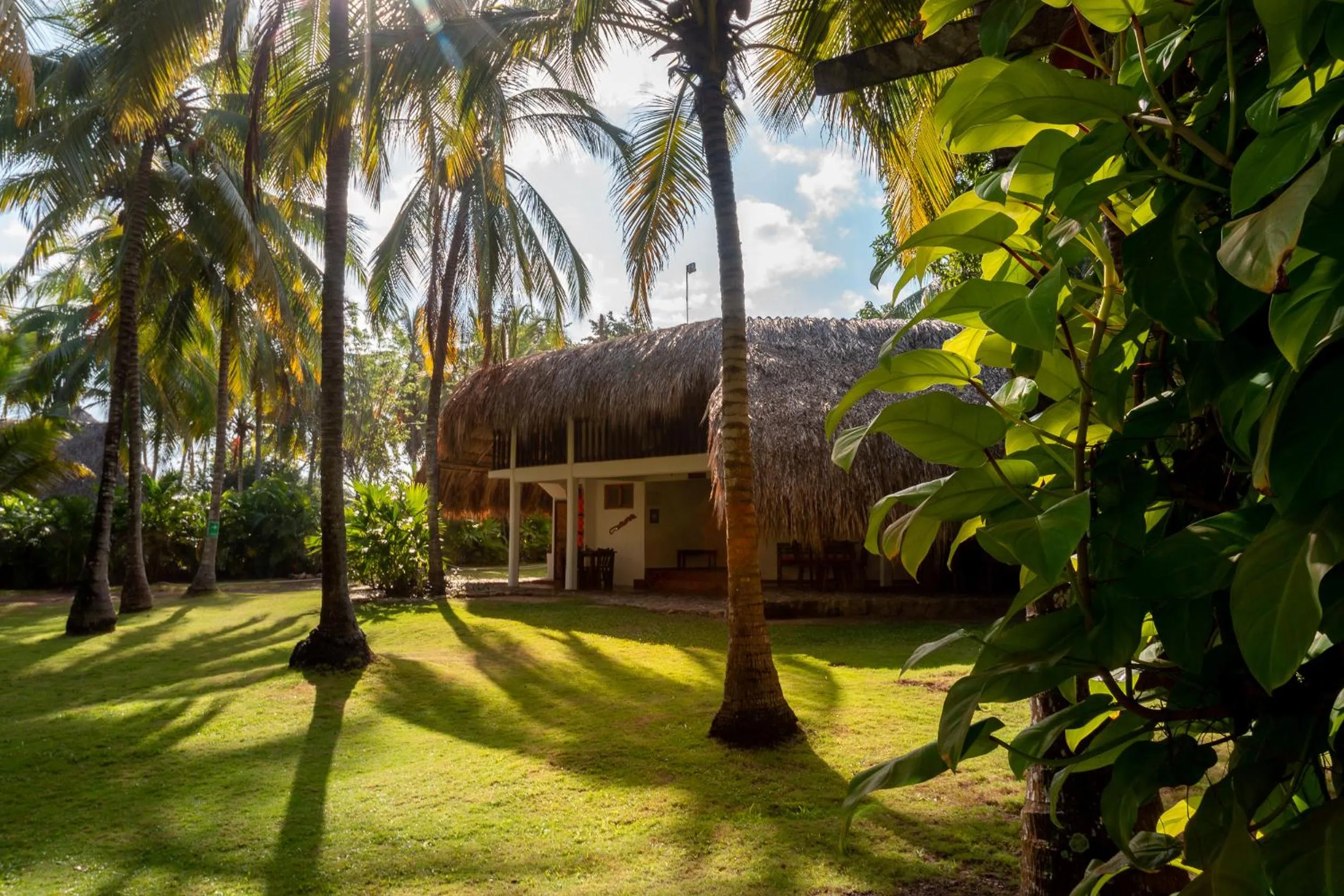 Natural landscape in Hotel Casalina