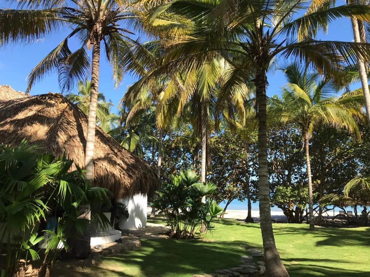 Natural landscape in Hotel Casalina