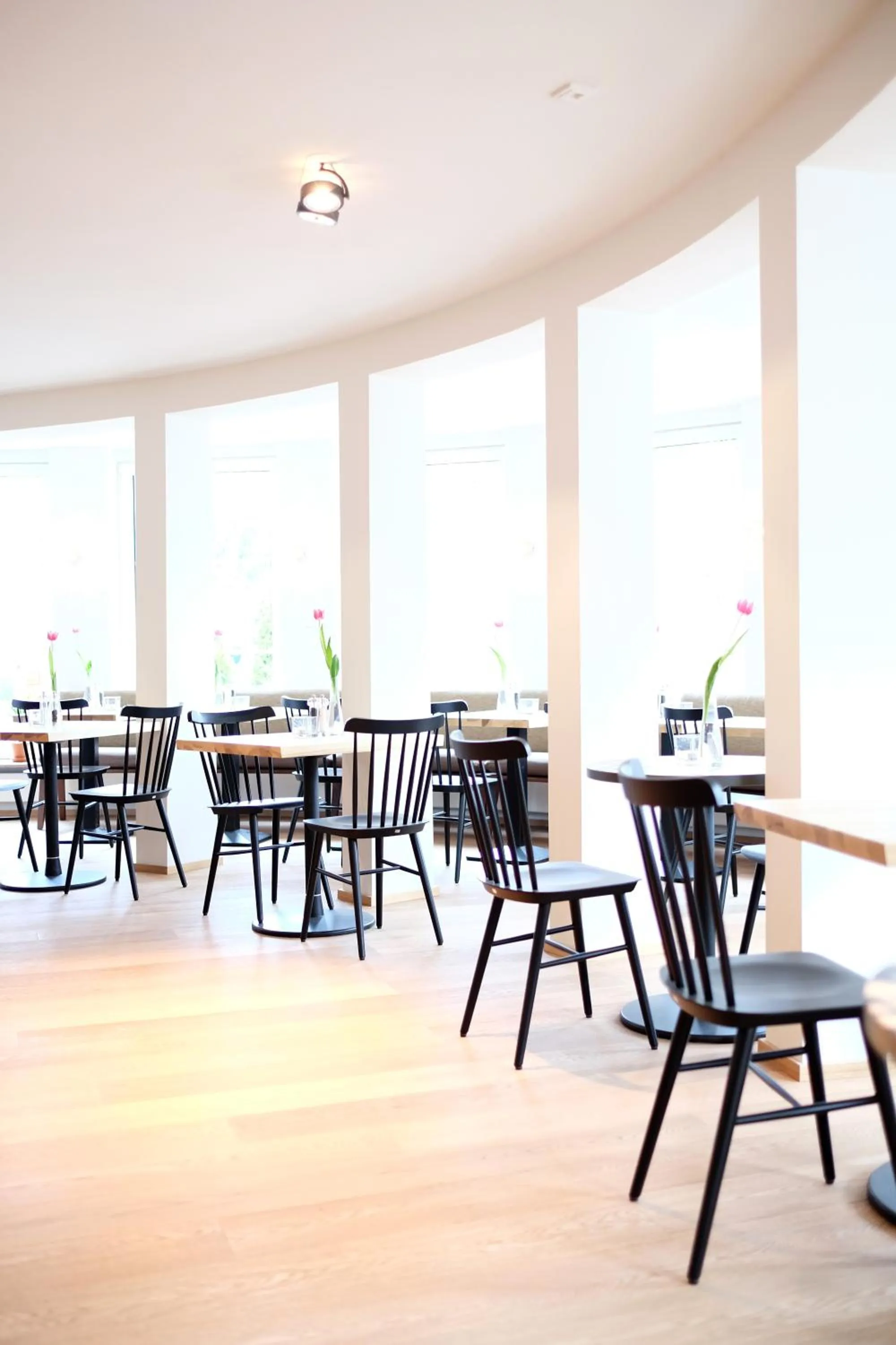 Restaurant/places to eat in Parkhotel Obermenzing