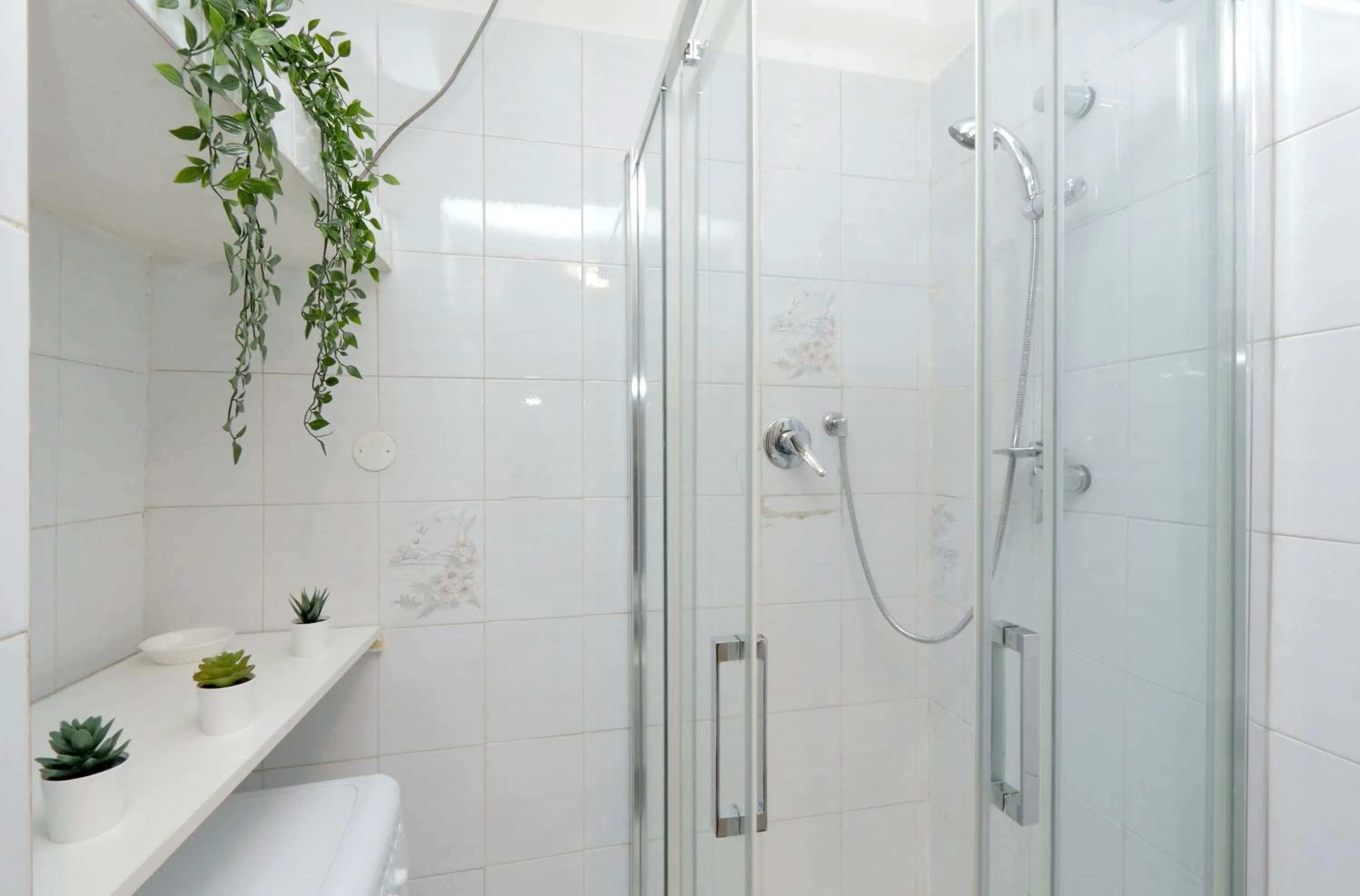 Shower in Urbana Delicious Flat