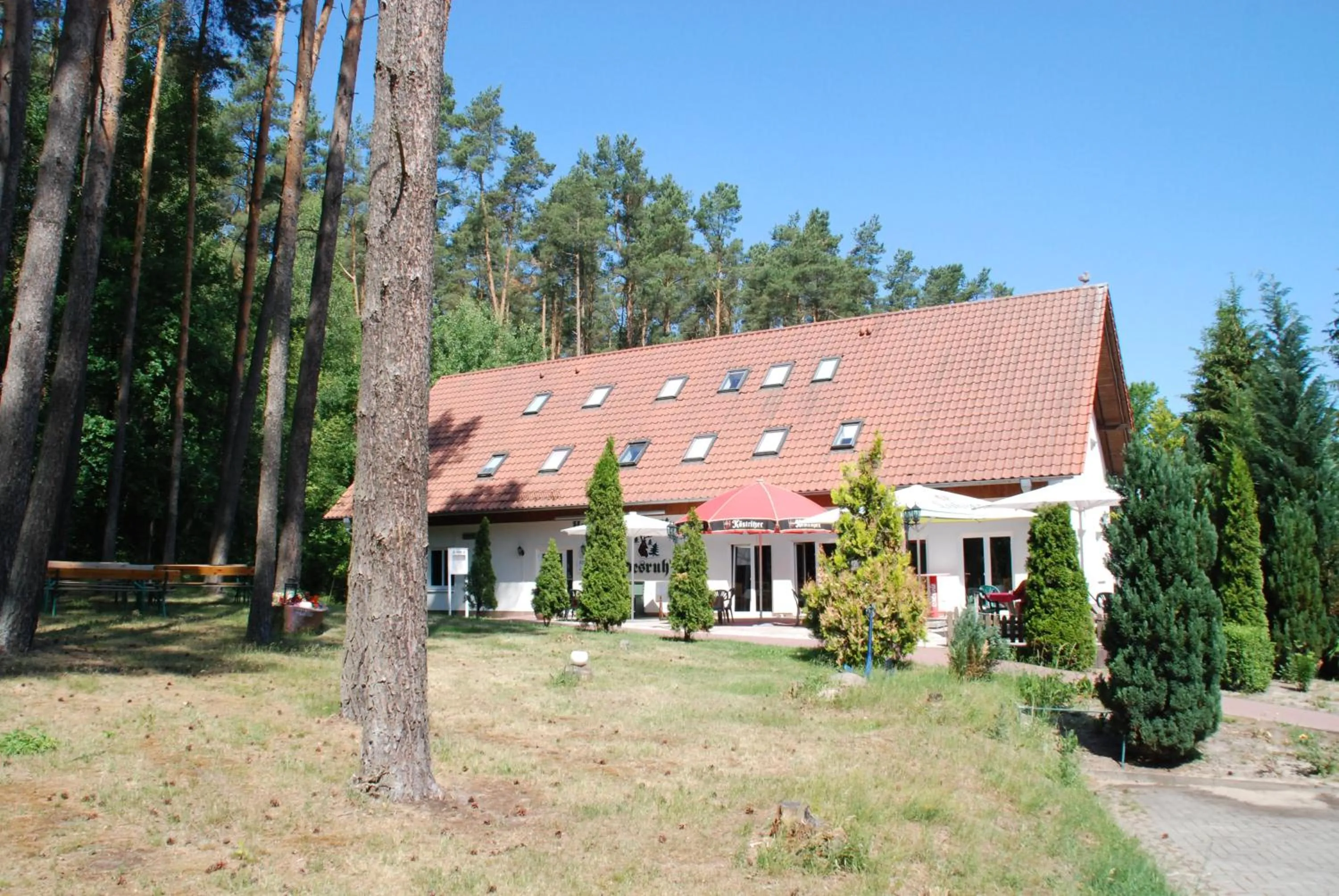 Property building in Haus Waldesruh