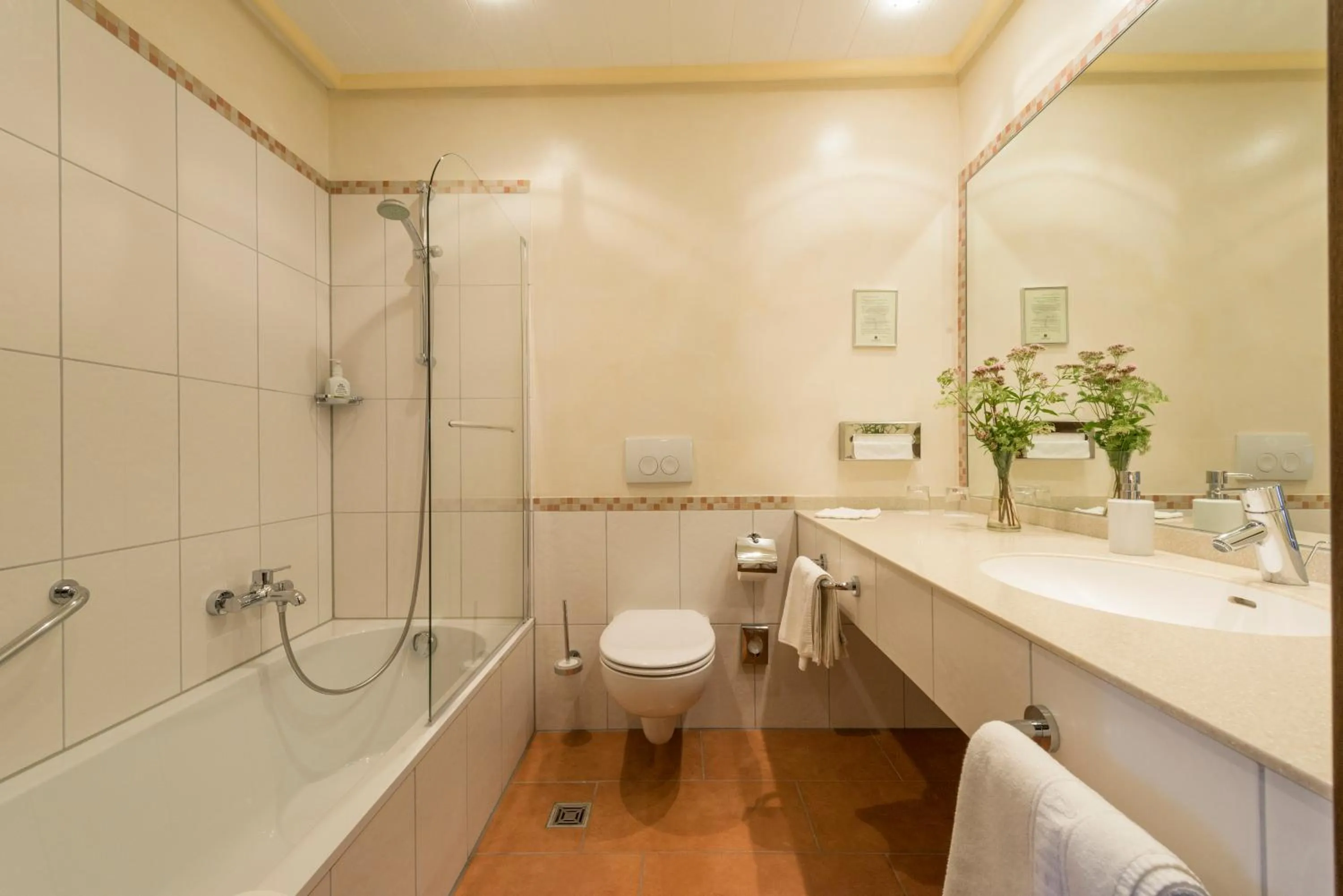 Toilet in Hotel & Weinhaus Anker