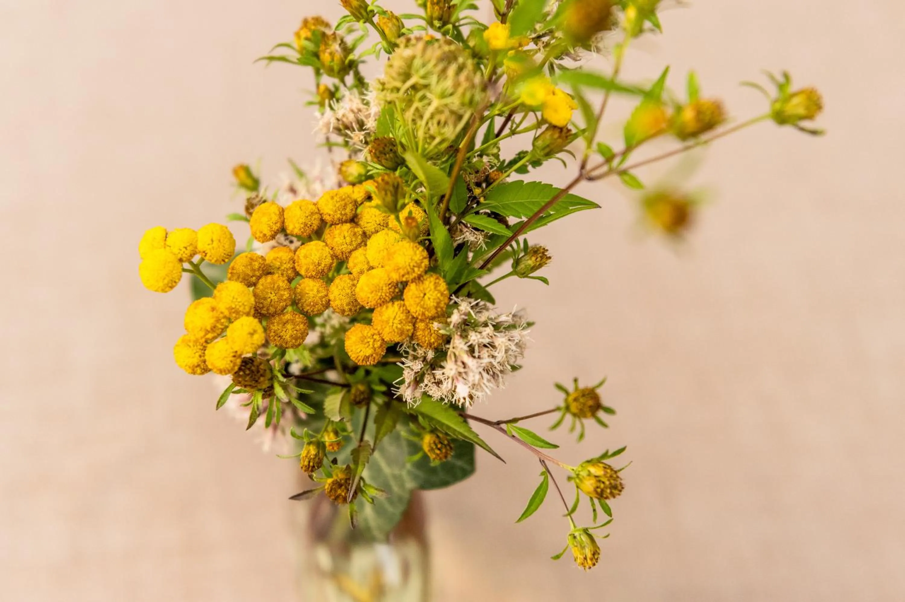 Patio in Hotel & Weinhaus Anker