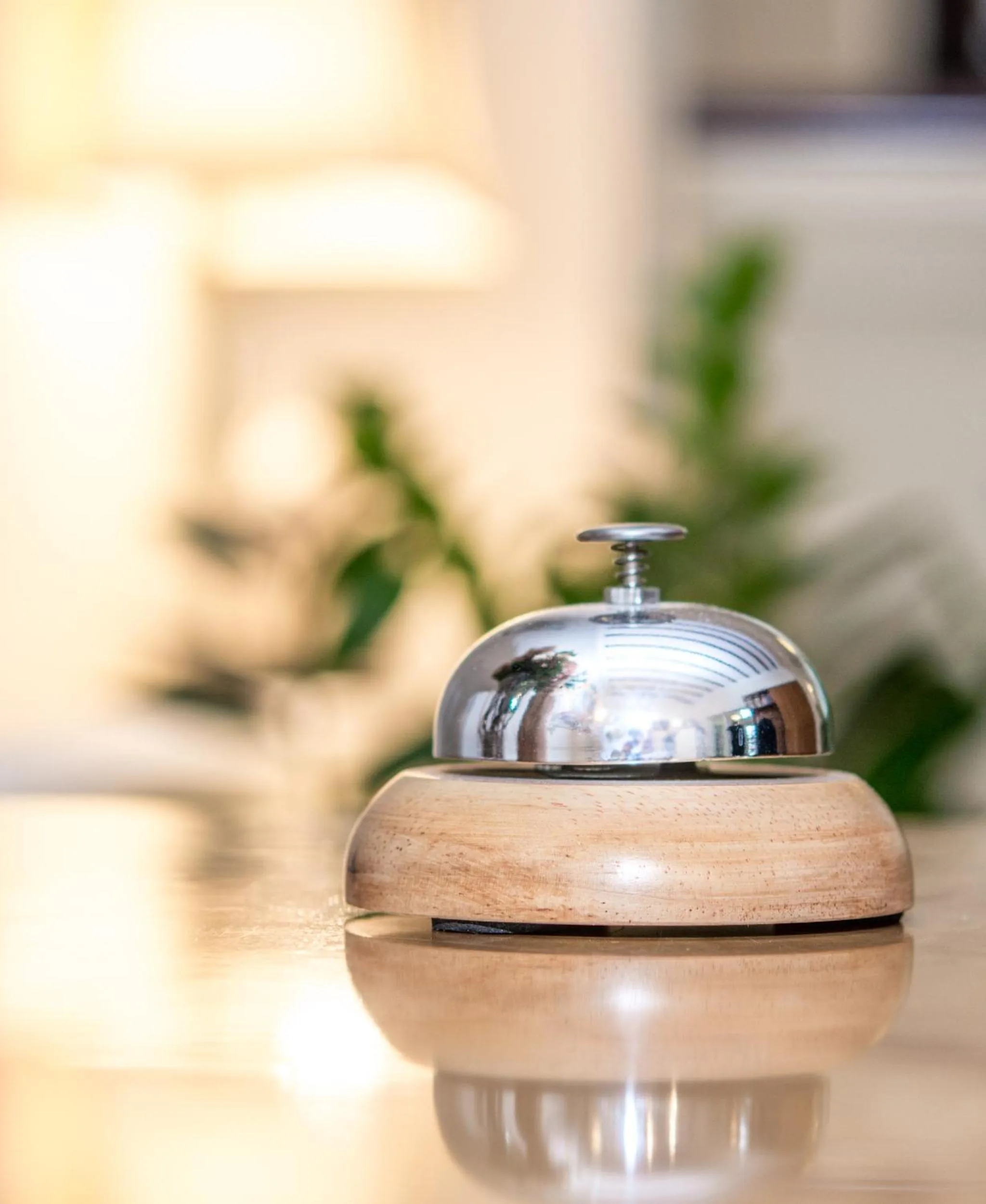 Lobby or reception in Hotel Friederike