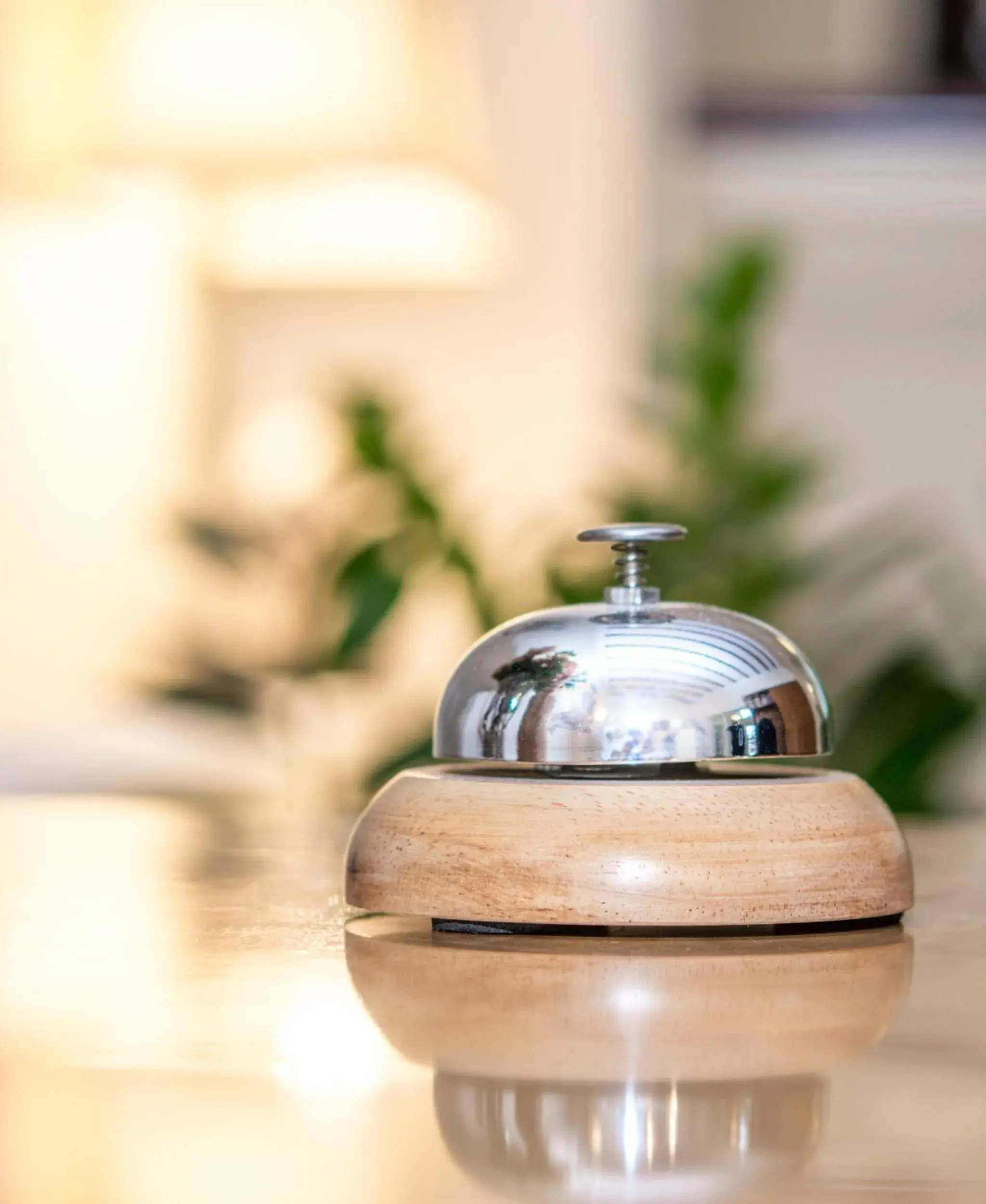 Lobby or reception in Hotel Friederike Lobby or reception in Hotel Friederike