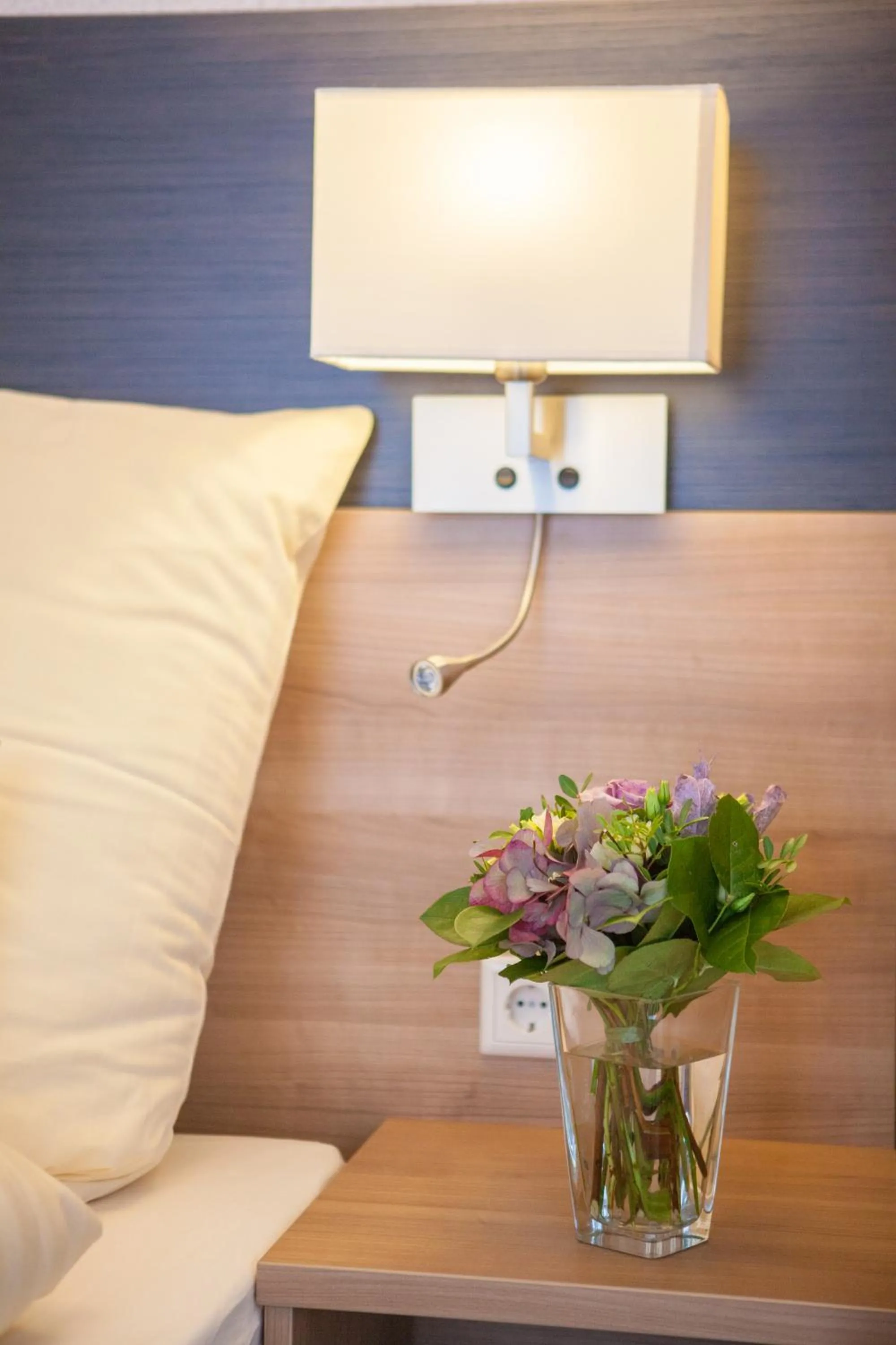 Queen Room - single occupancy in EulenNest