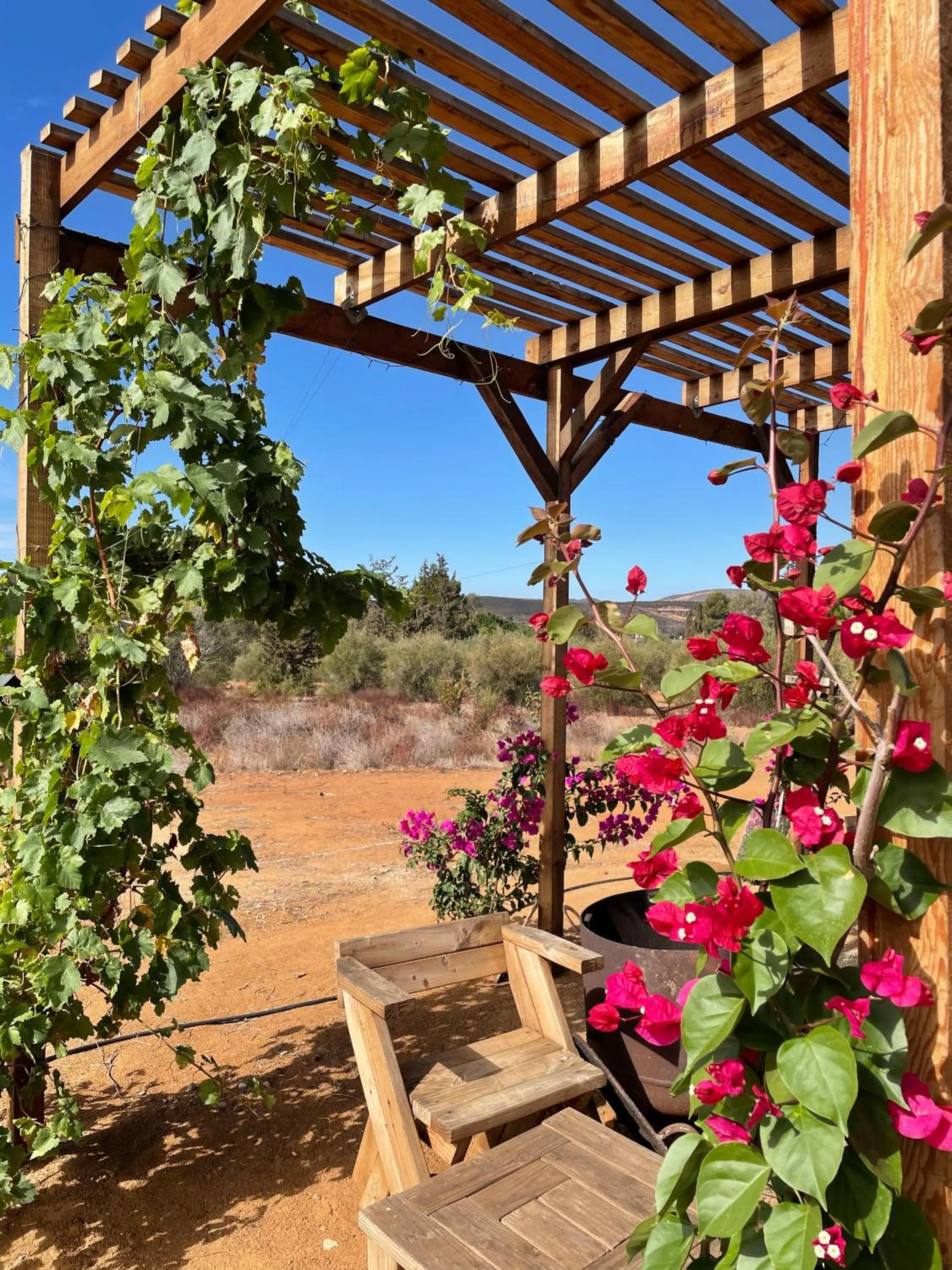 fireplace in Sn Tony Hotel & Spa