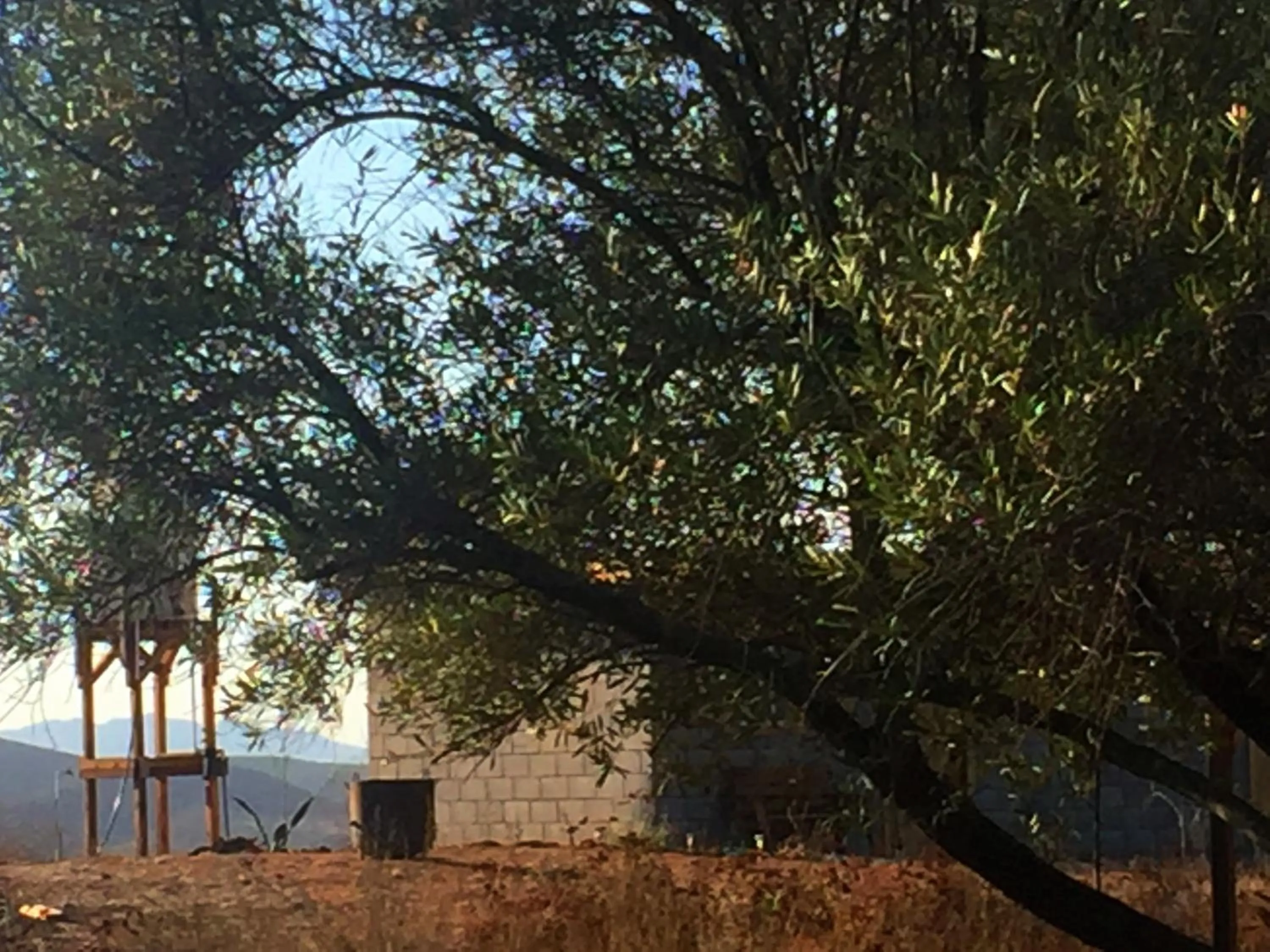 Garden view in Sn Tony Hotel & Spa