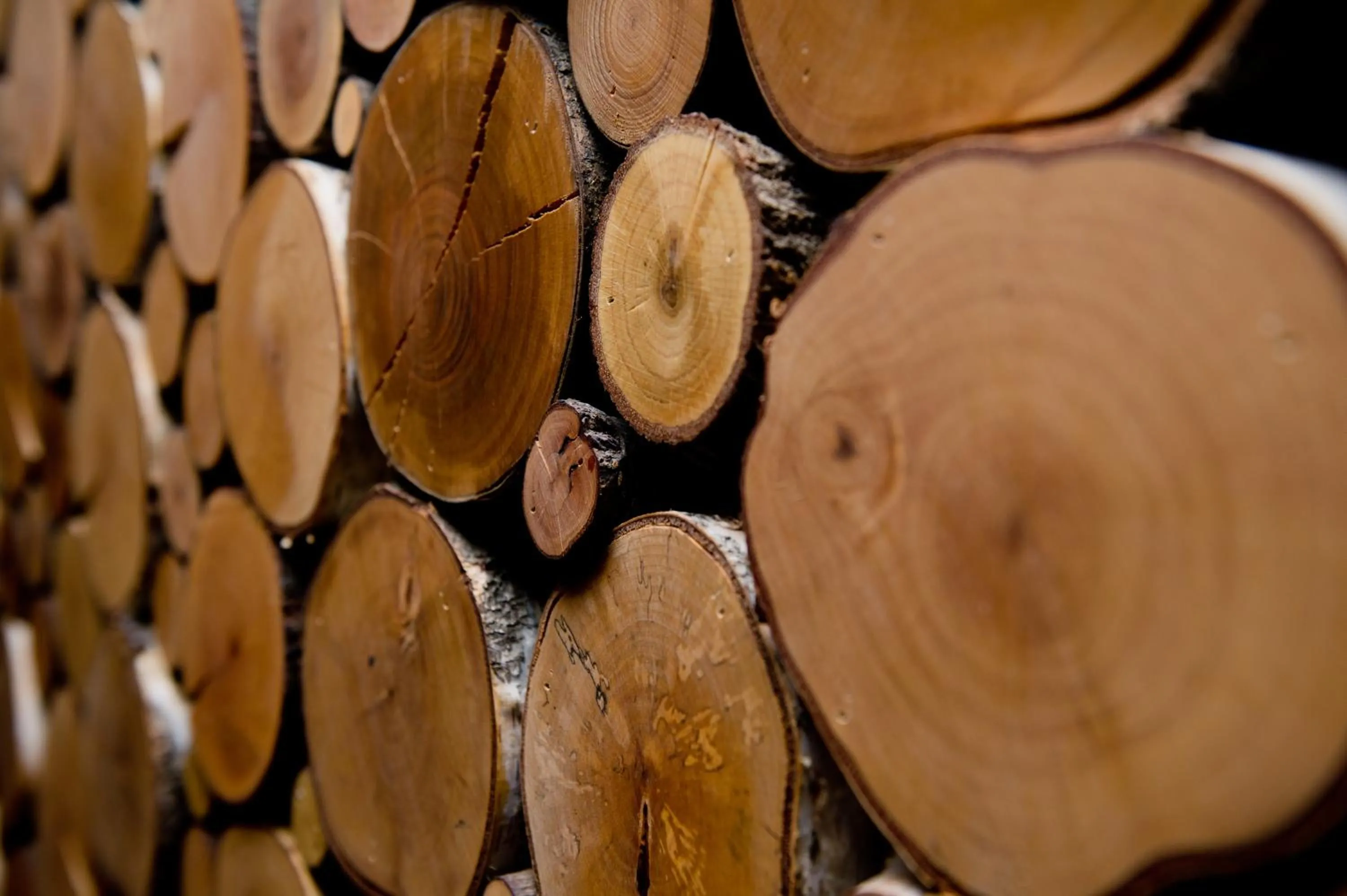 Other in Hotel Säntis