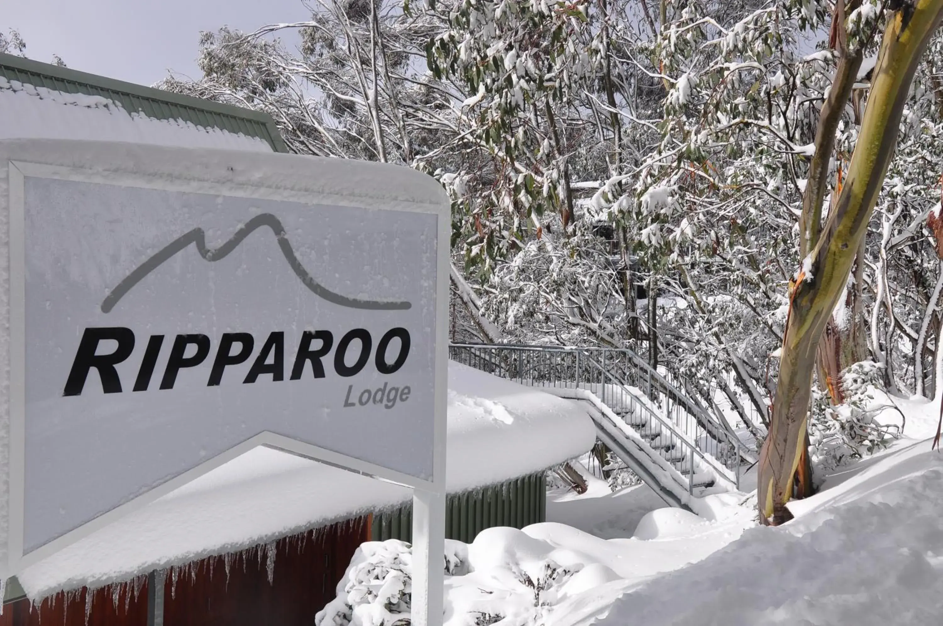 Ripparoo Lodge Ripparoo Lodge