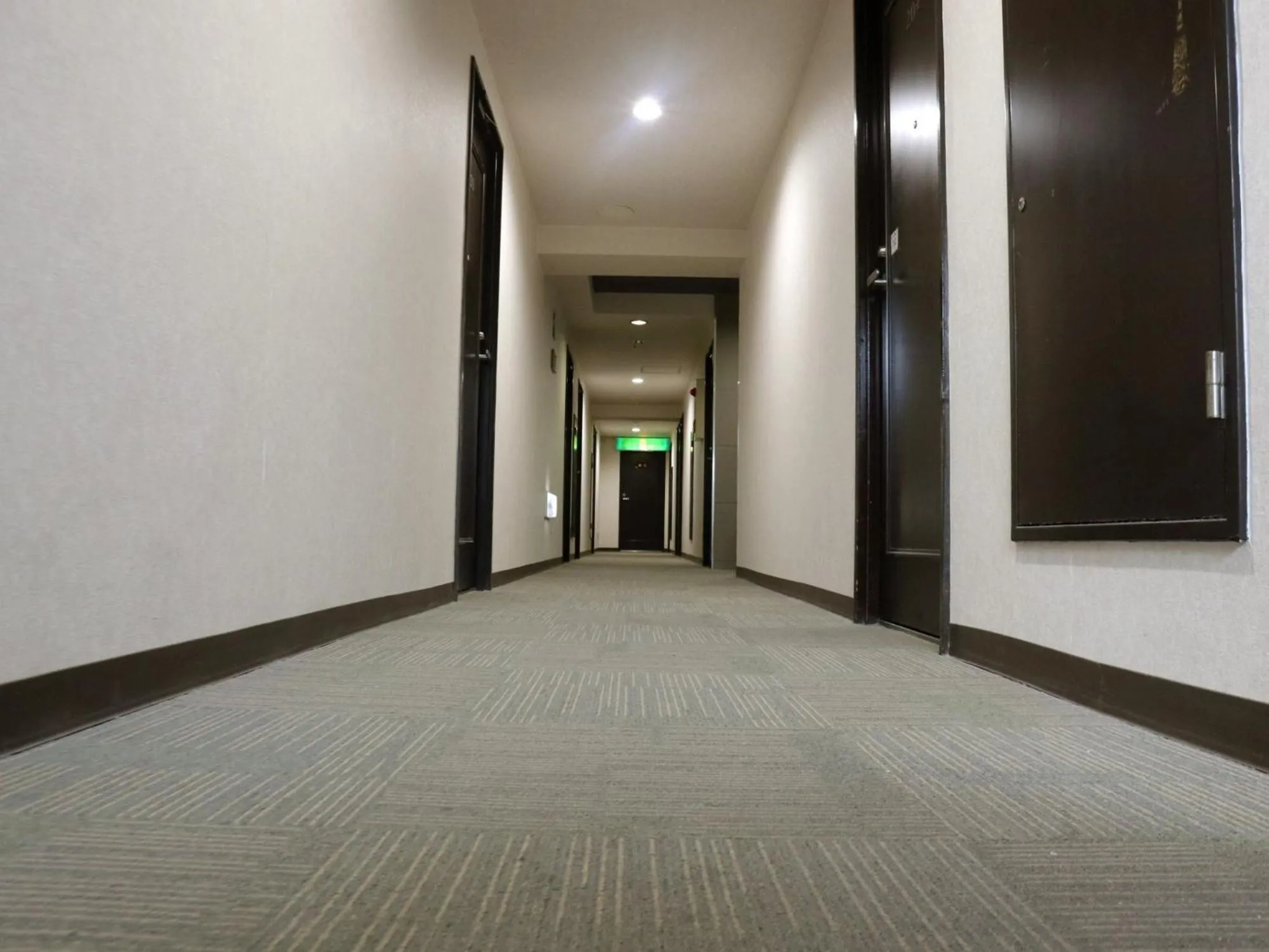 Hamamatsu Station Hotel