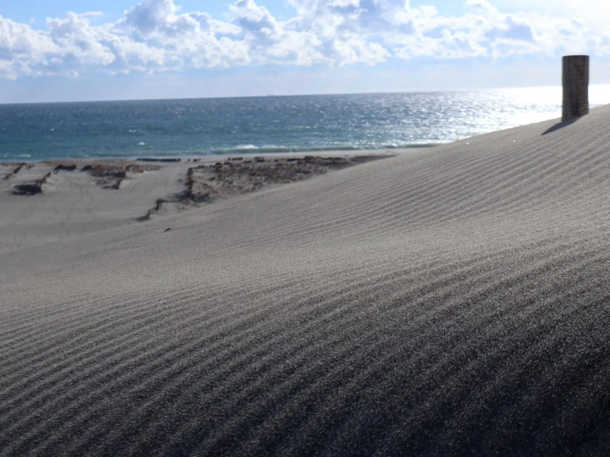 Nearby landmark in Hamamatsu Station Hotel
