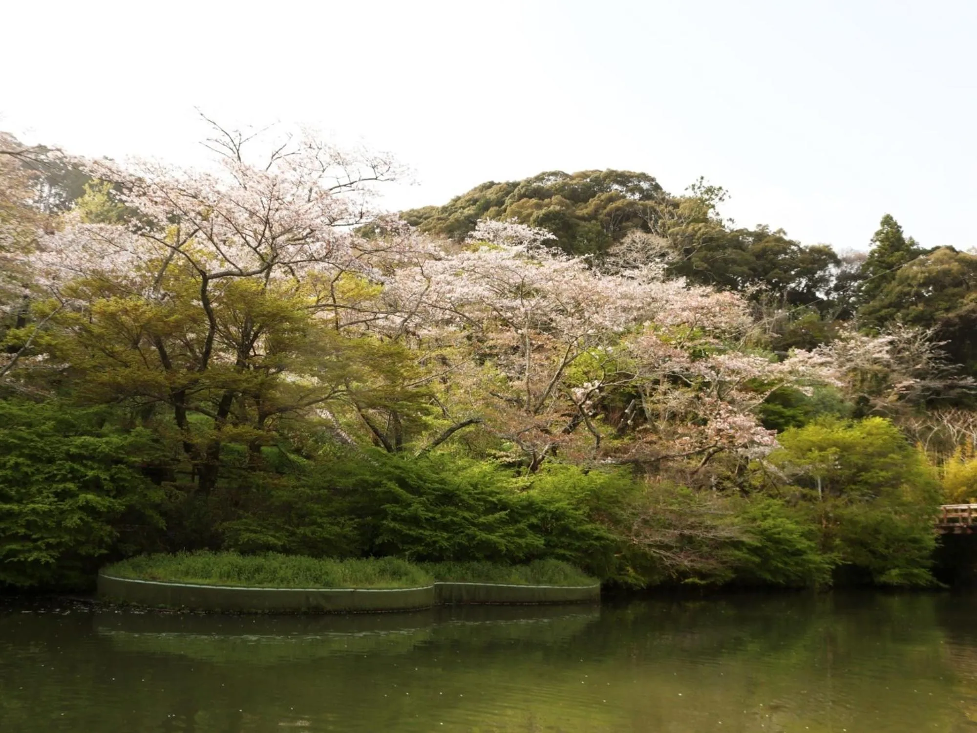 Nearby landmark in Hamamatsu Station Hotel