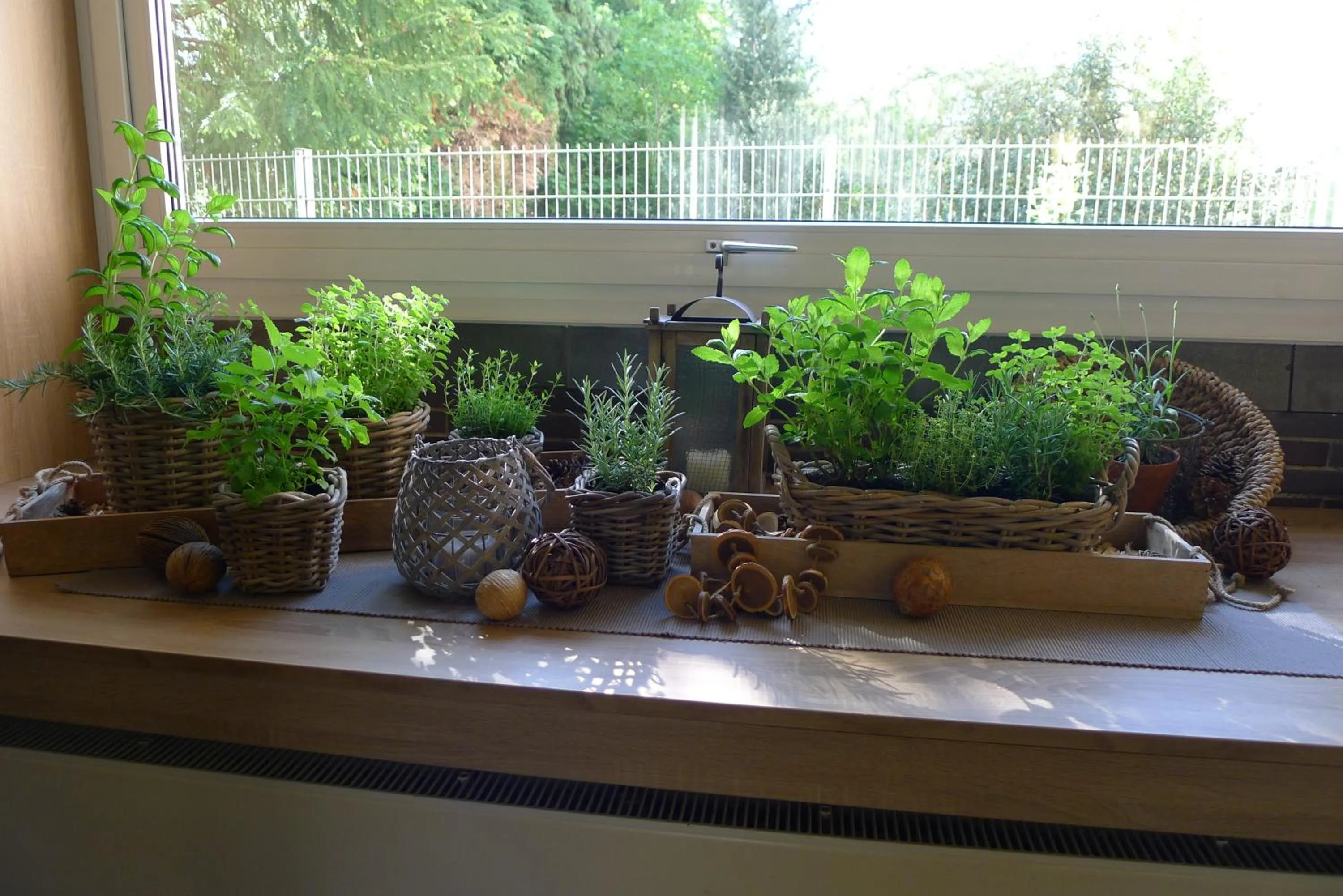 Area and facilities in Hotel Mercedes City