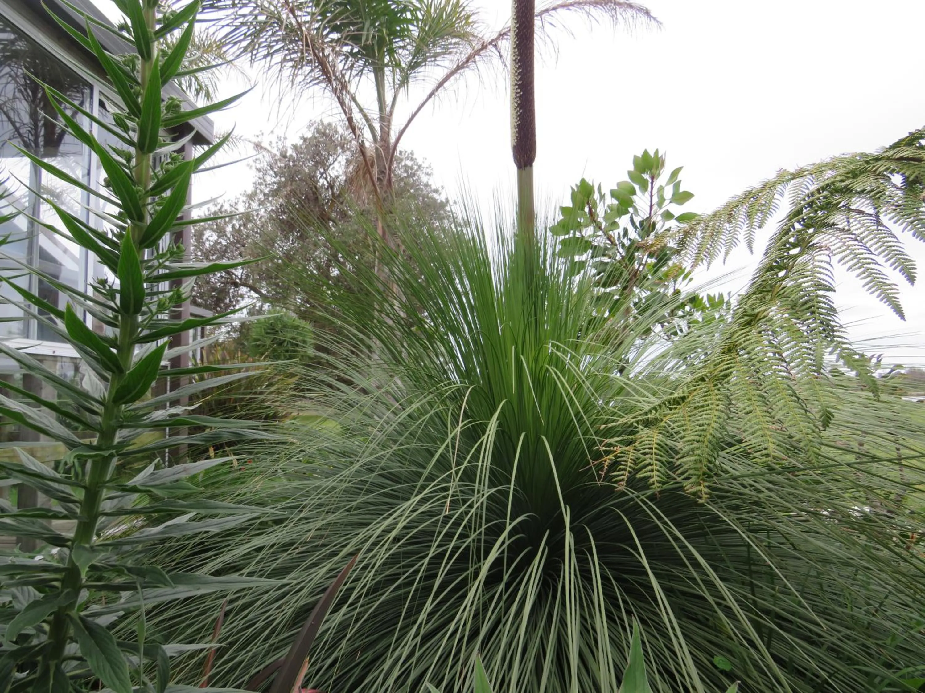 Garden in Lakes Entrance Waterfront Cottages with King Beds