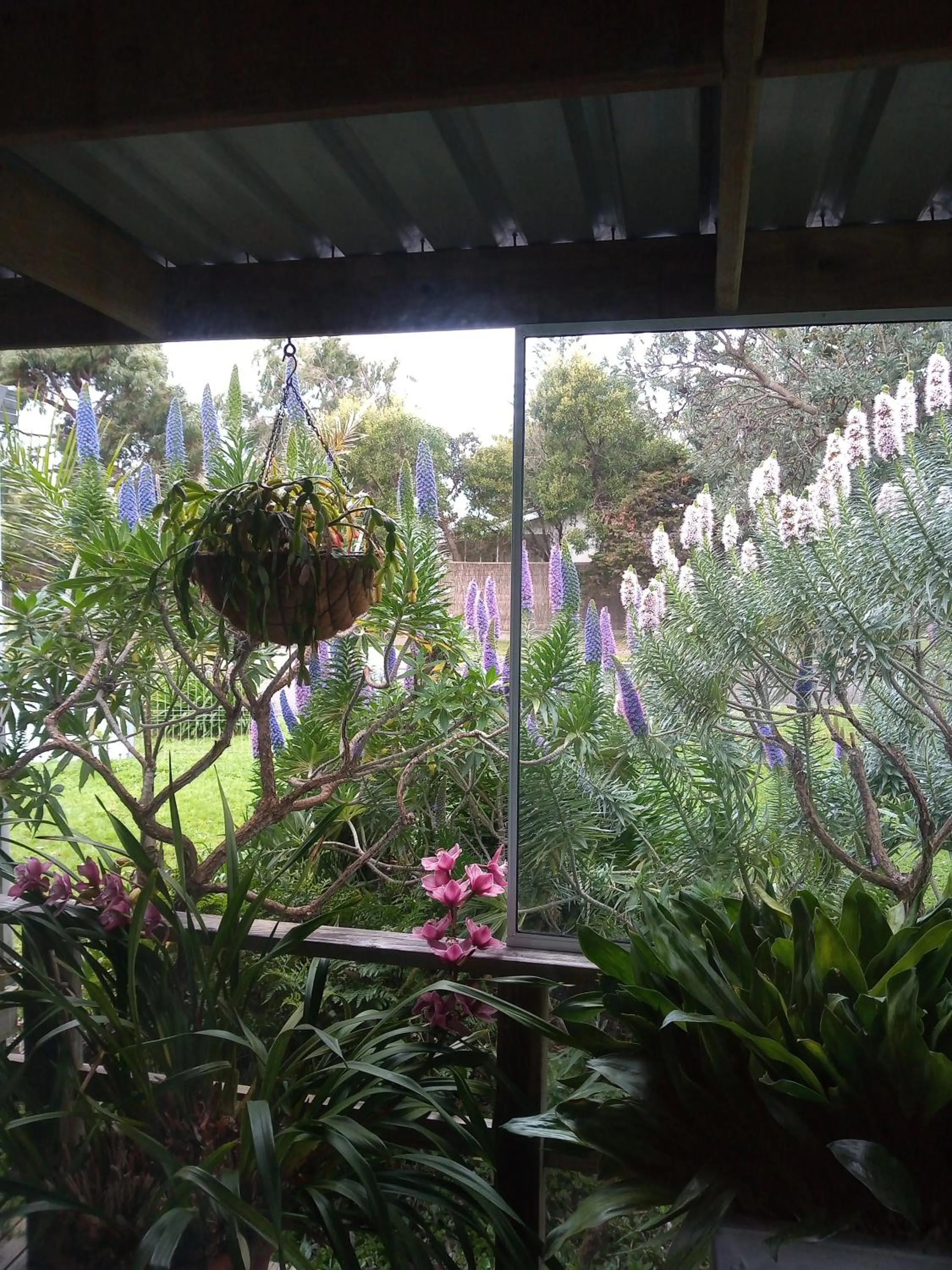 Property building in Lakes Entrance Waterfront Cottages with King Beds