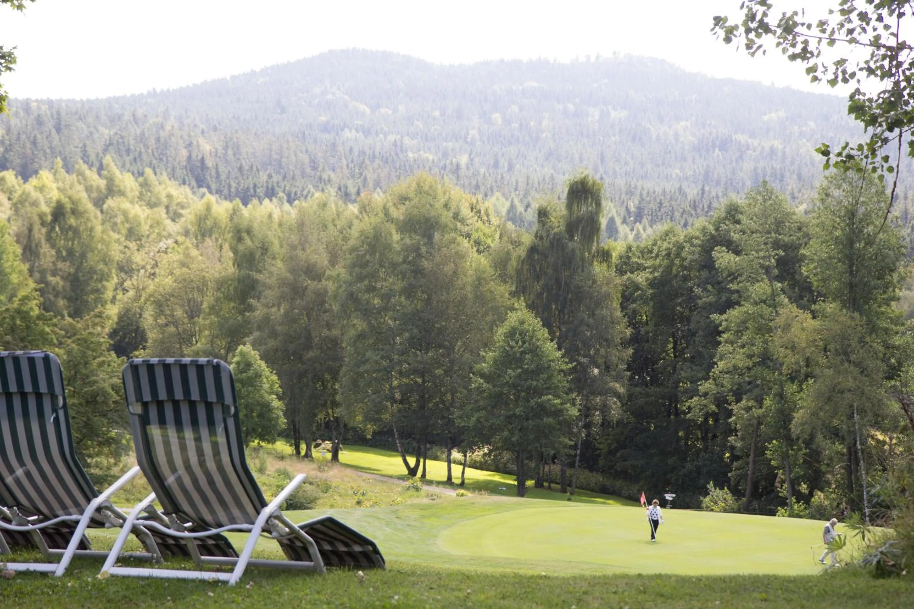 Garden in Golfhotel Fahrenbach