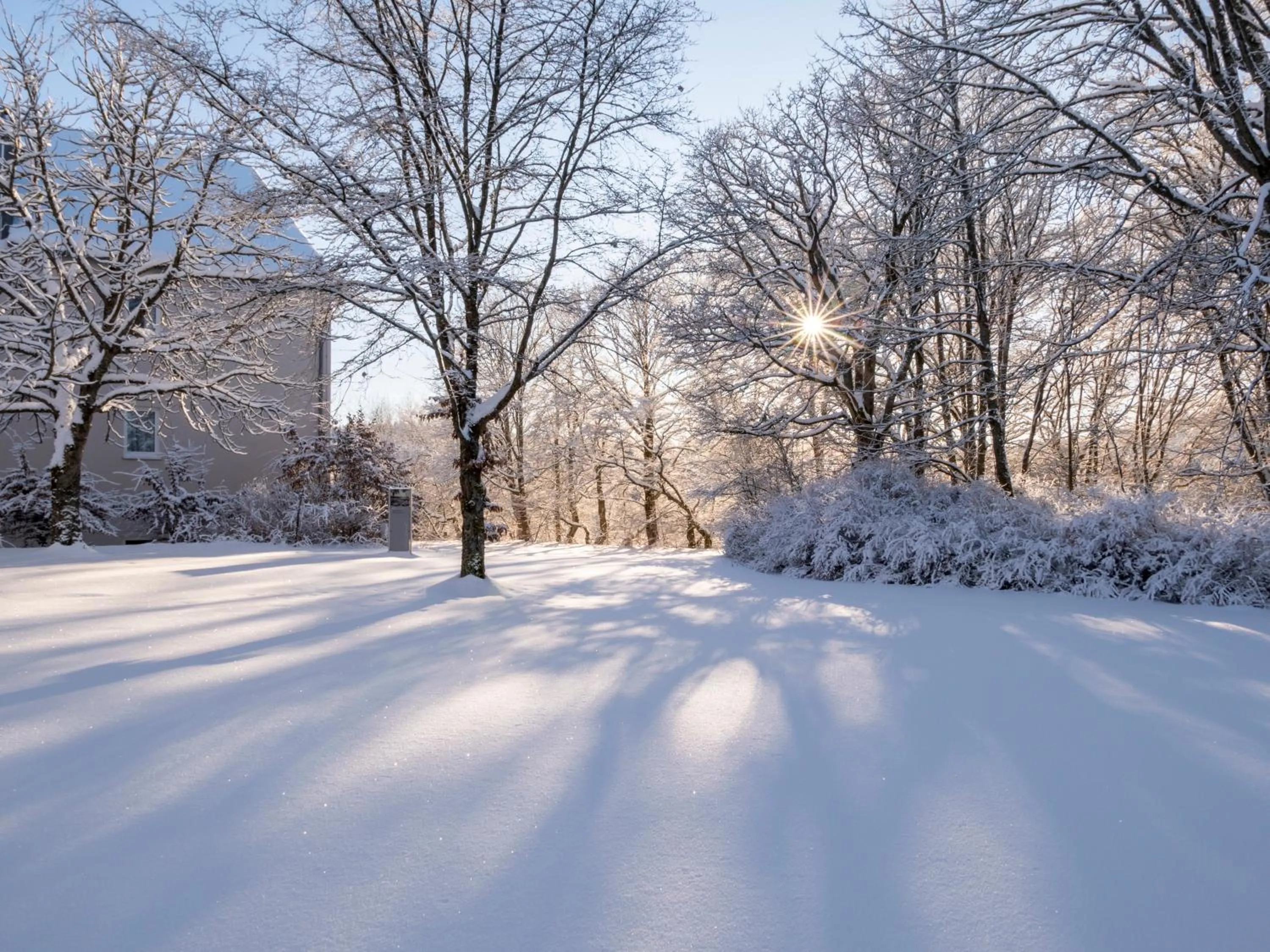 Winter in Golfhotel Fahrenbach