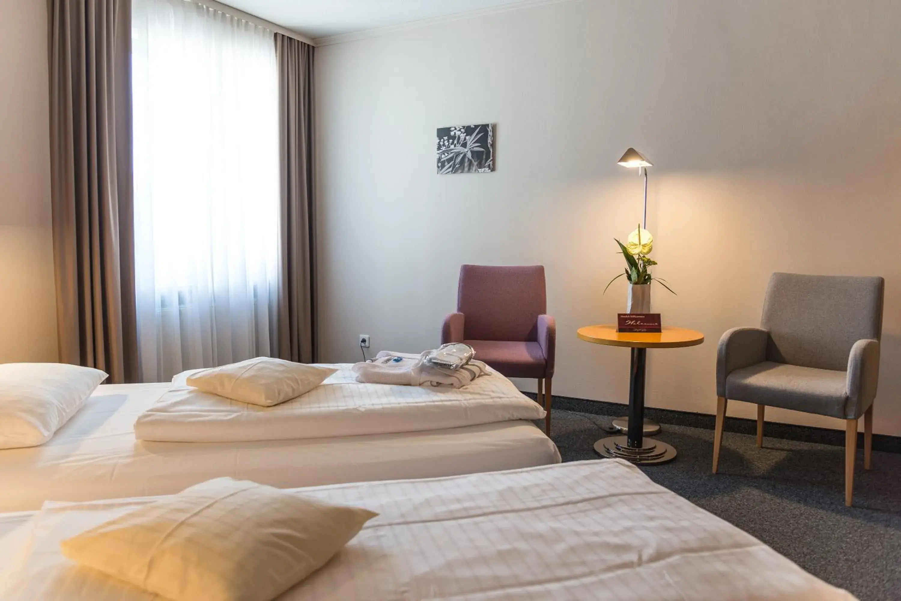 Double Room - single occupancy in Golfhotel Fahrenbach Double Room - single occupancy in Golfhotel Fahrenbach