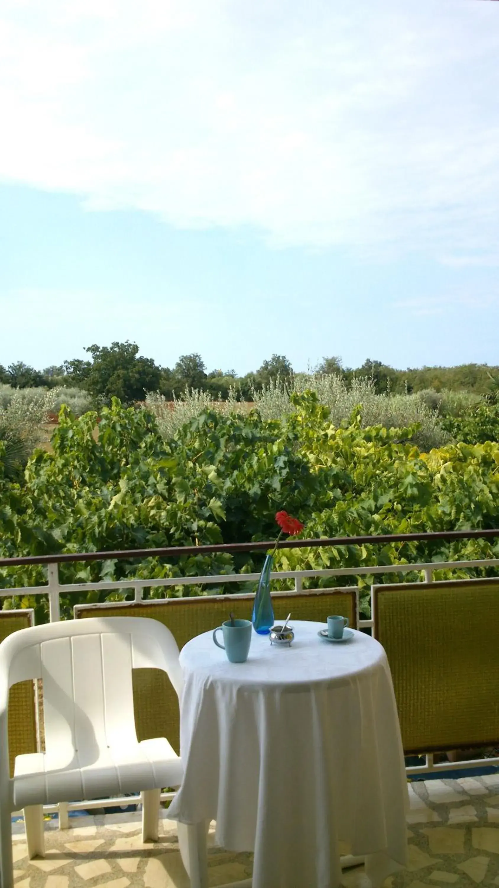 Double Room with Balcony in Pansion Margerita Double Room with Balcony in Pansion Margerita